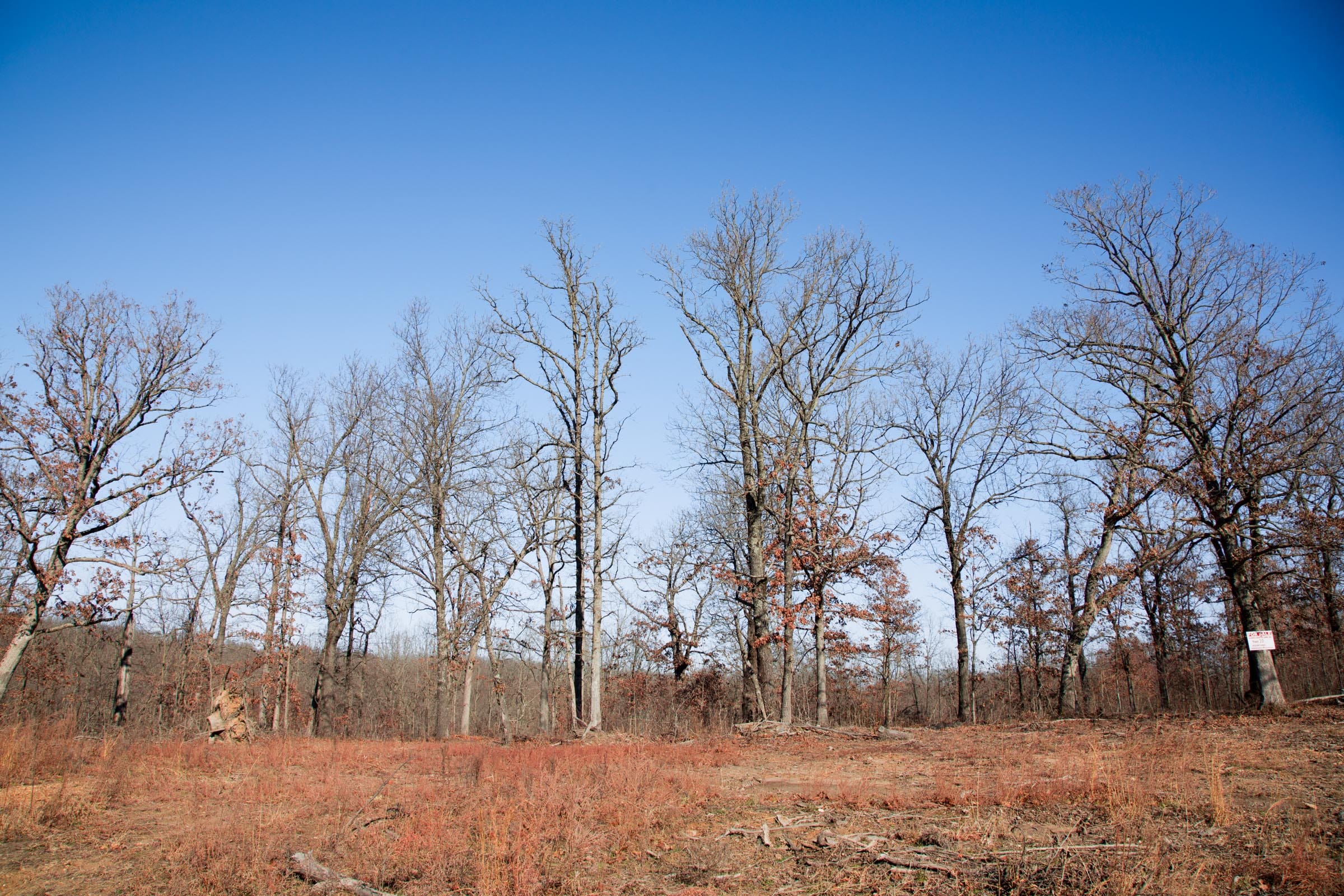 Buffalo Hills Tract 20 photo 13