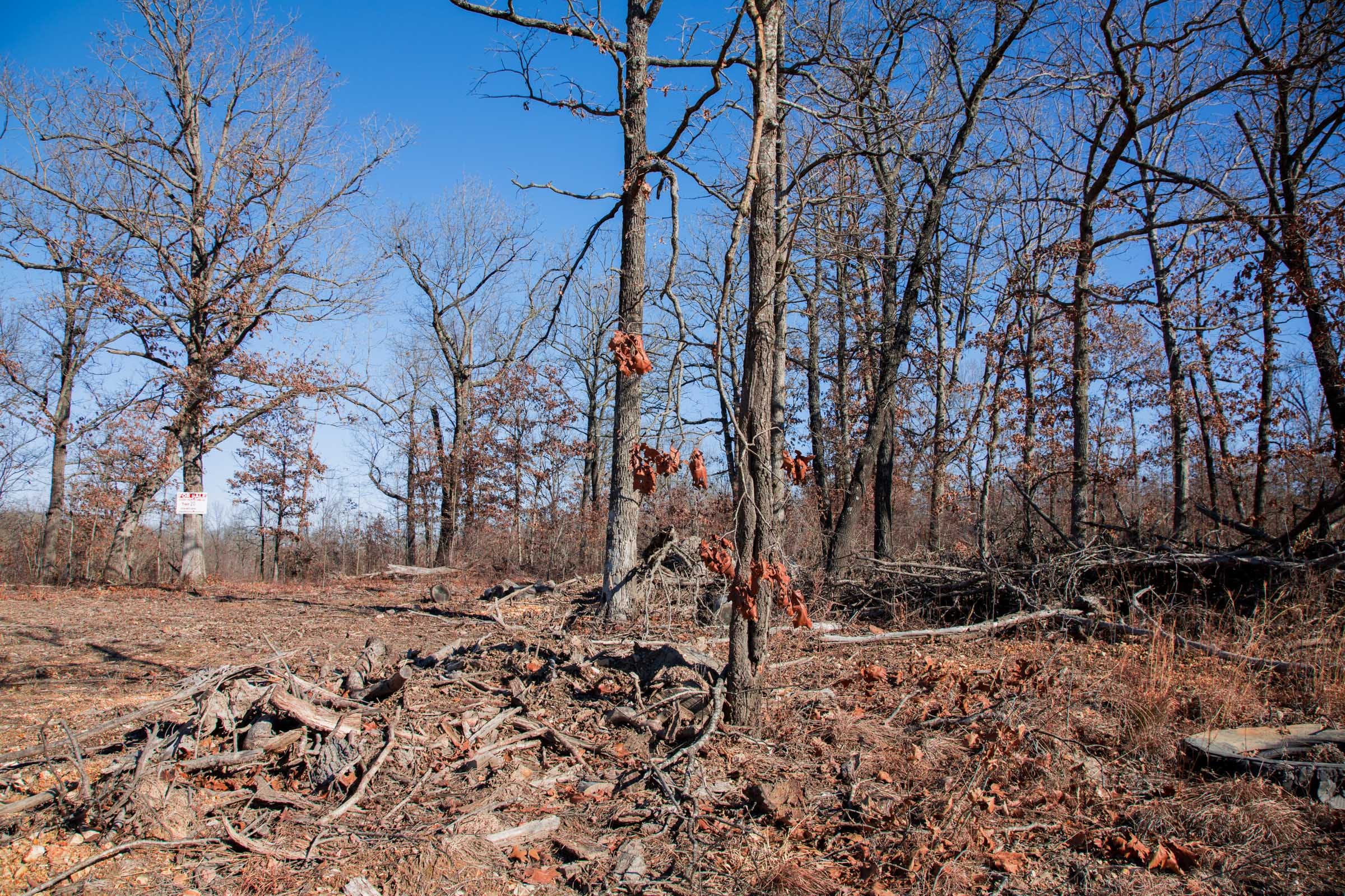 Buffalo Hills Tract 20 photo 15