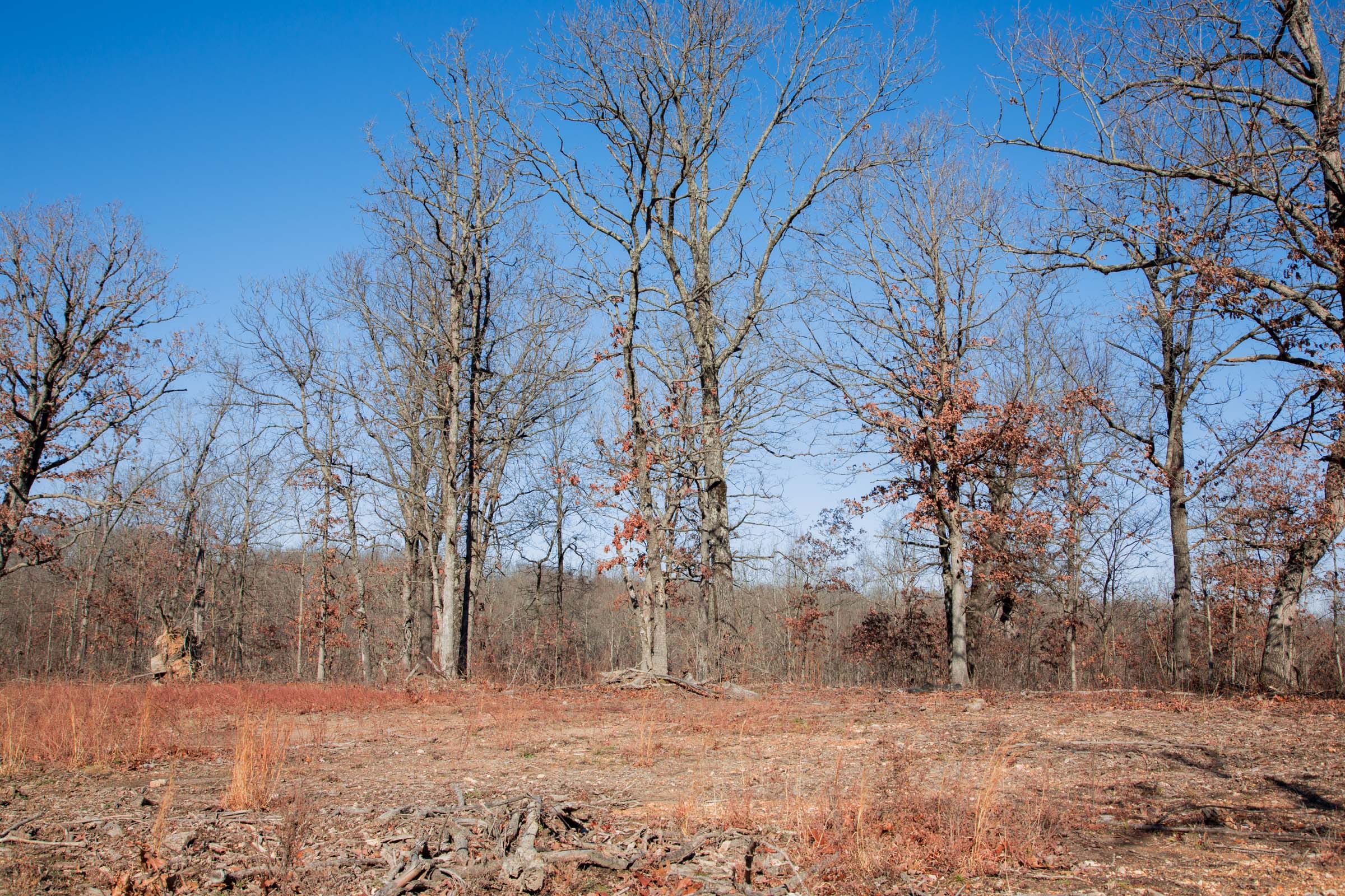 Buffalo Hills Tract 20 photo 16