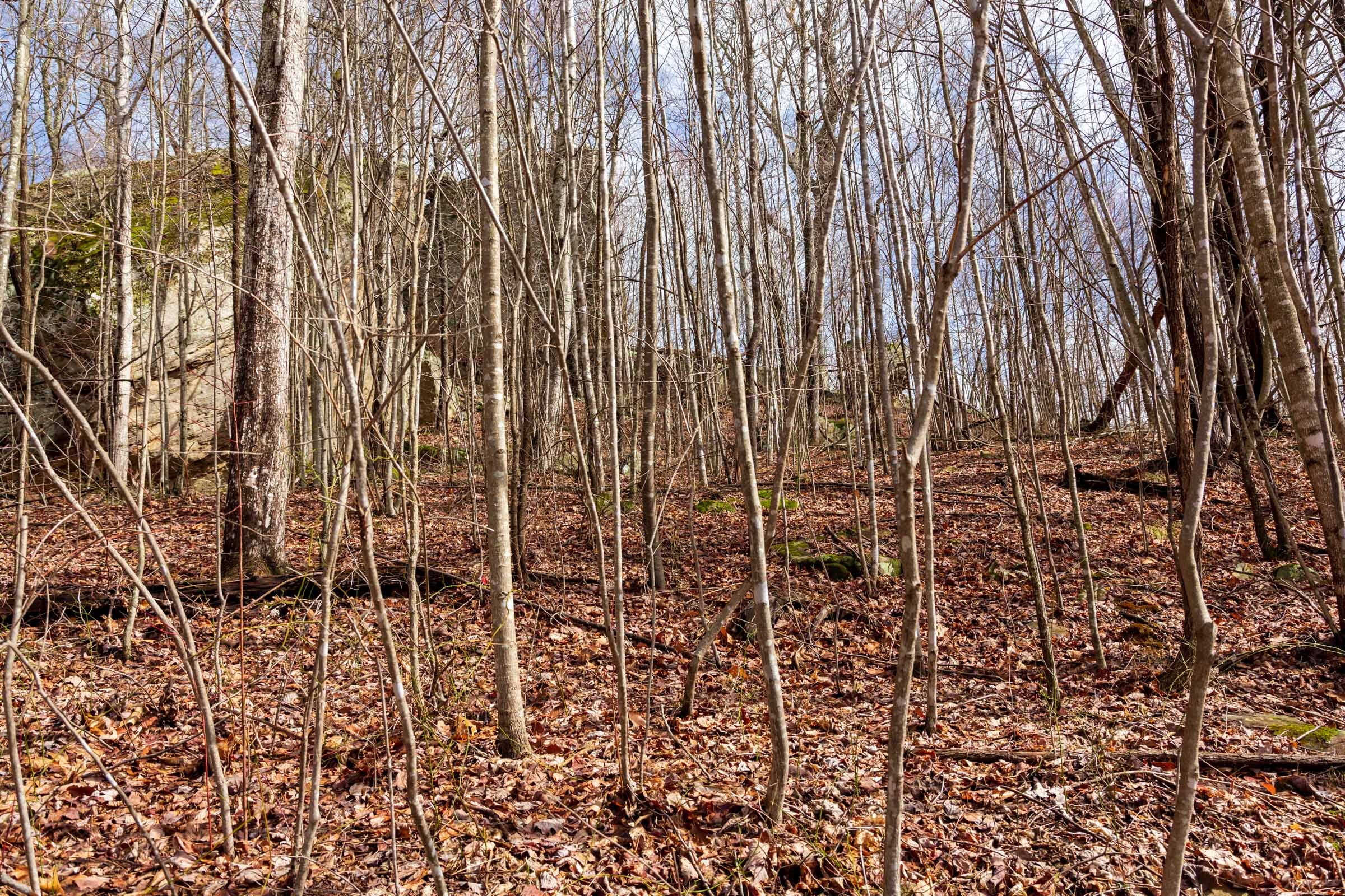 Blackstone Mountain Phase II Tract 74 photo 2