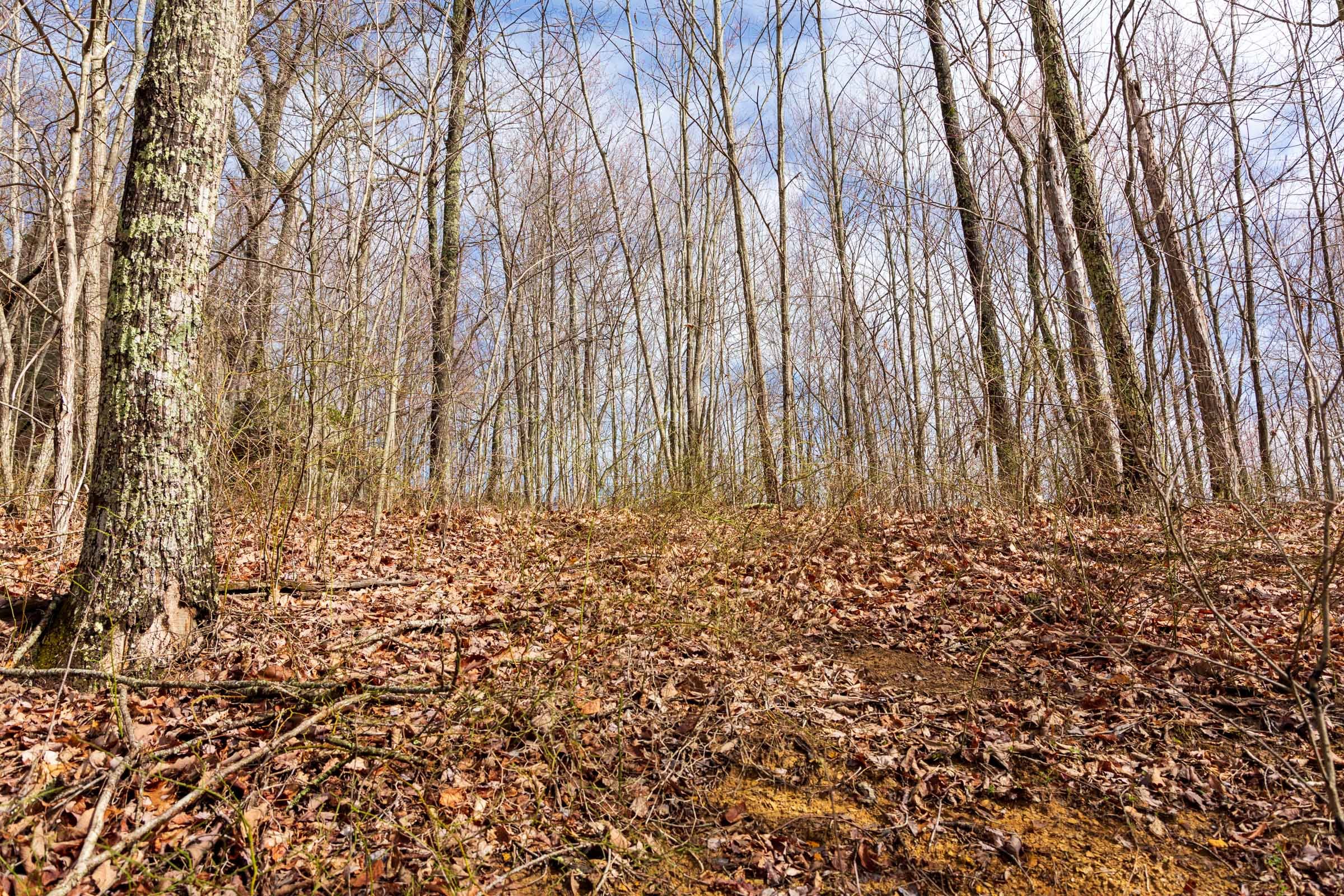 Blackstone Mountain Phase II Tract 74 photo 1