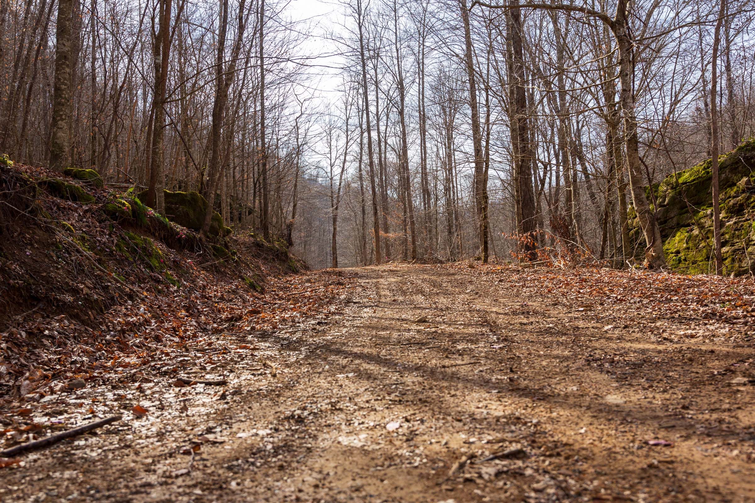 Blackstone Mountain Phase II Tract 61 photo 1