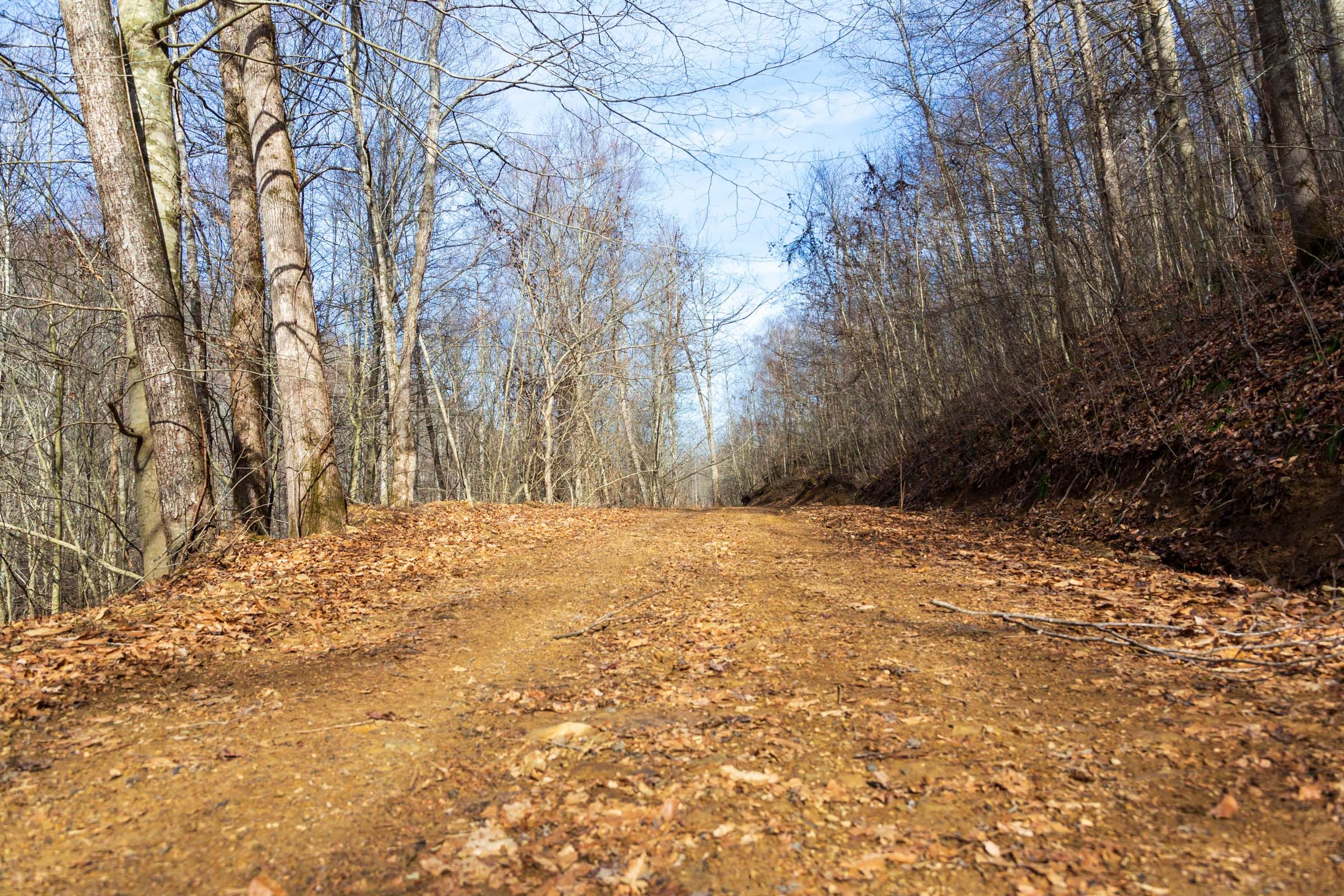 Blackstone Mountain Phase II Tract 61 photo 6