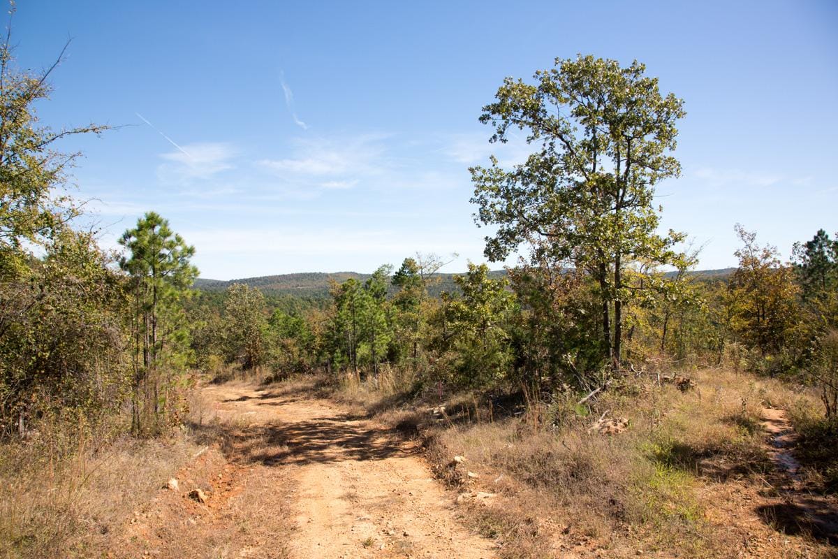 Stone Creek Phase I Tract 180 photo 3