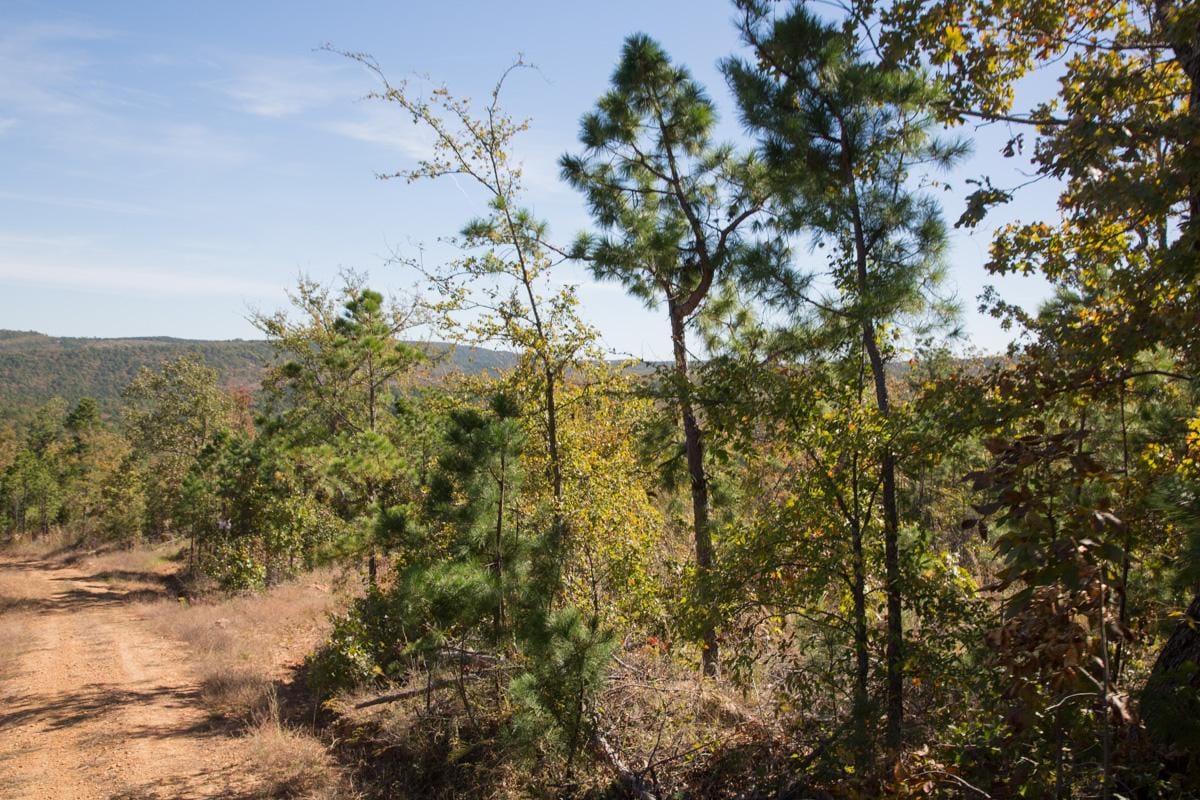 Stone Creek Phase I Tract 180 photo 5