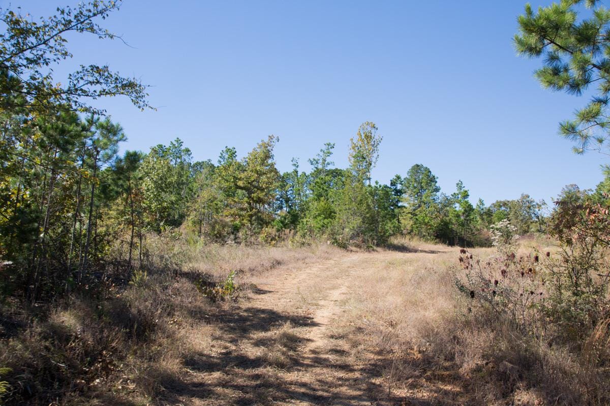 Stone Creek Phase I Tract 180 photo 6