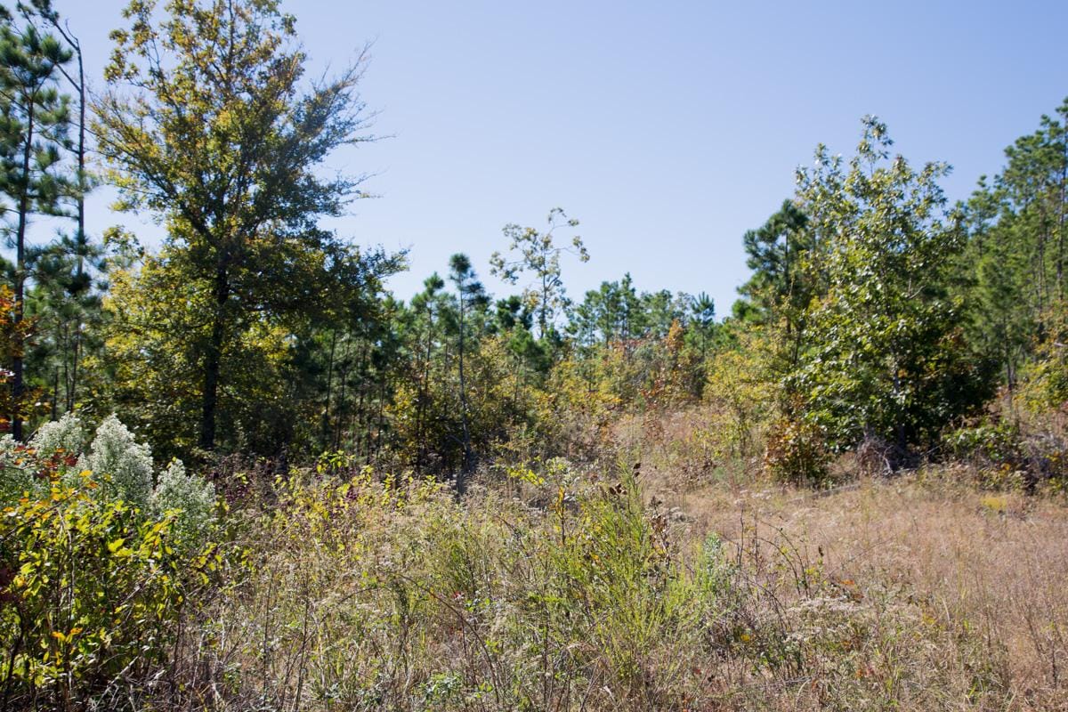 Stone Creek Phase I Tract 180 photo 7