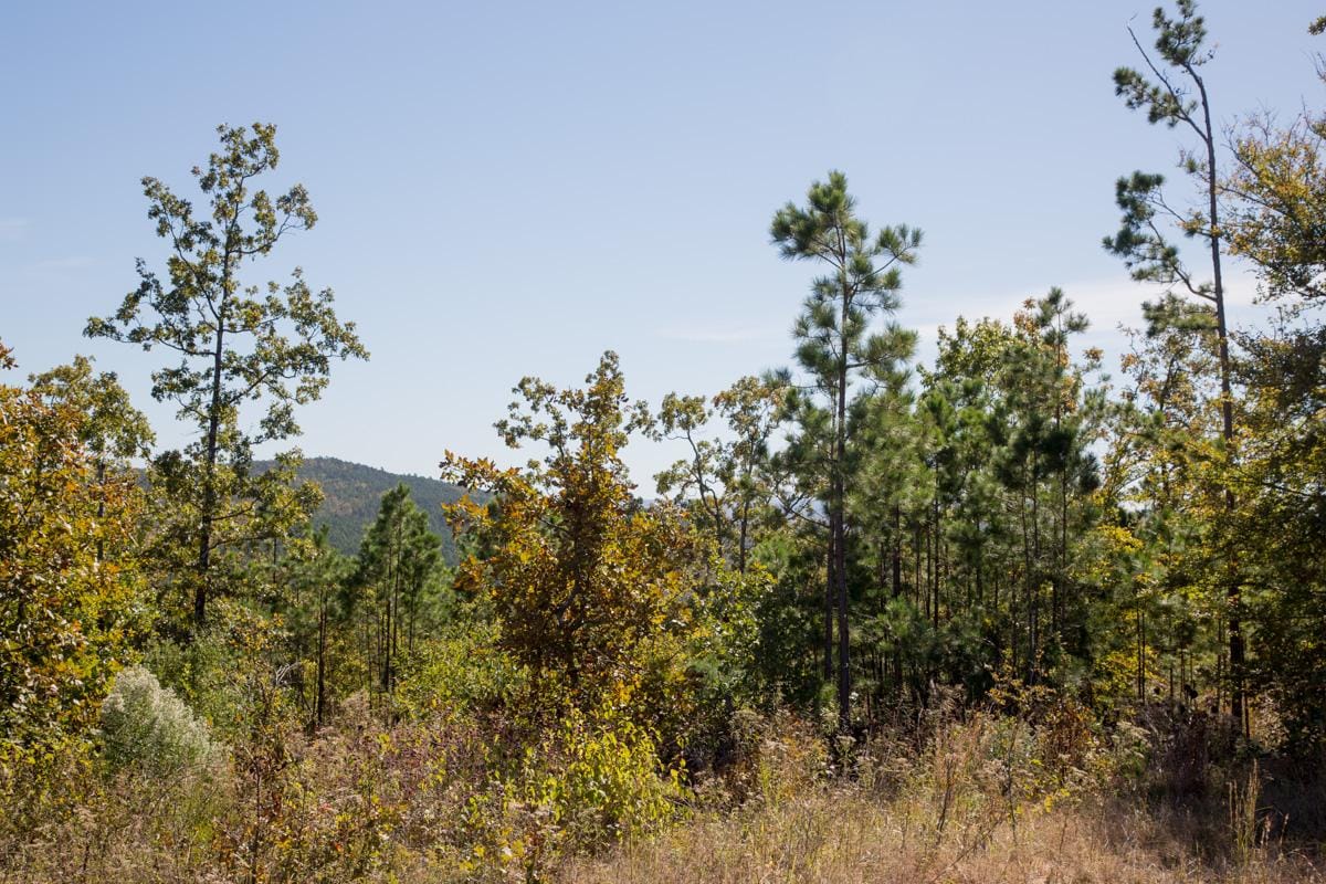 Stone Creek Phase I Tract 180 photo 8