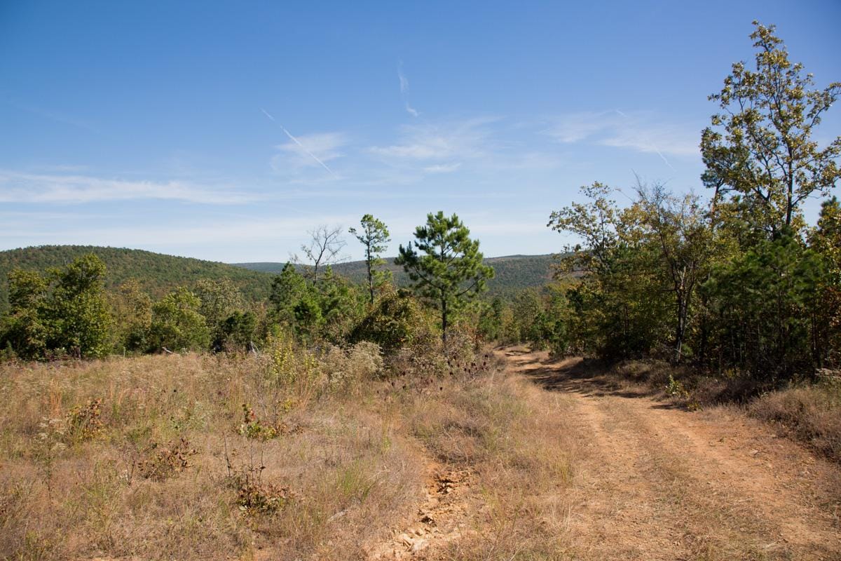 Stone Creek Phase I Tract 180 photo 9