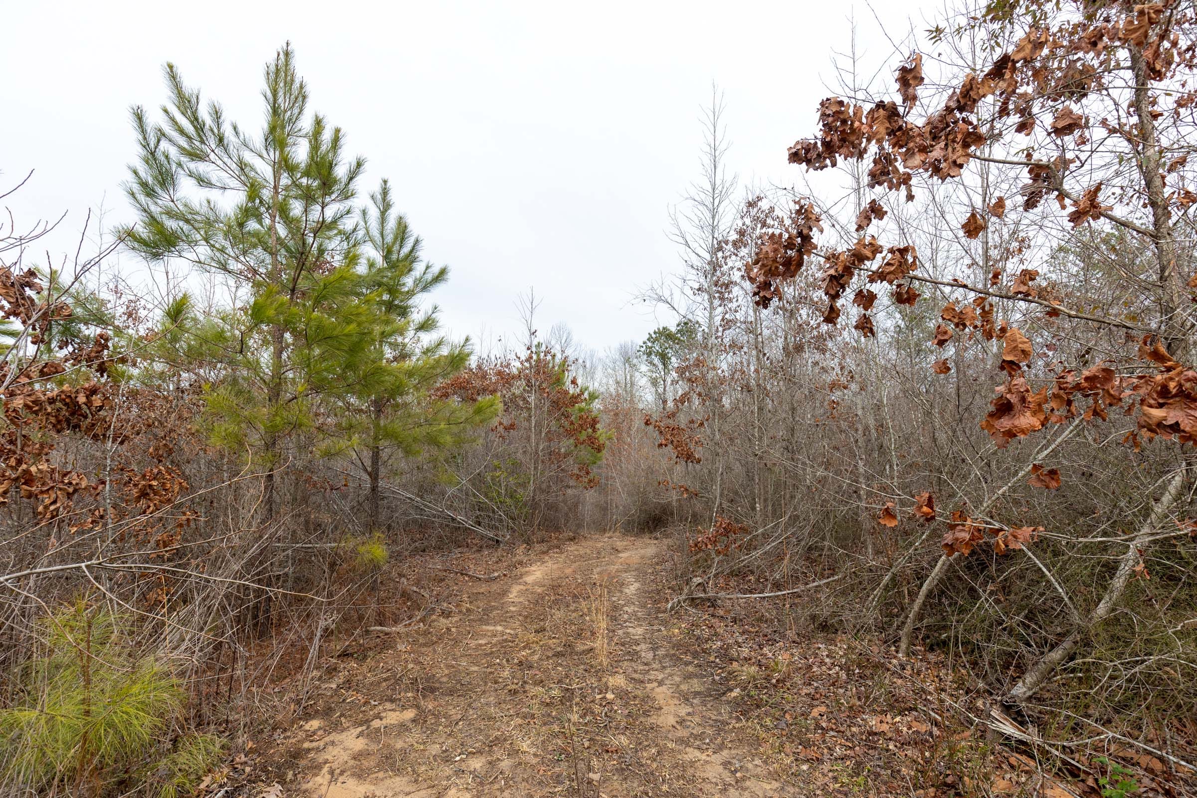 Baker Creek Tract 19 photo 10