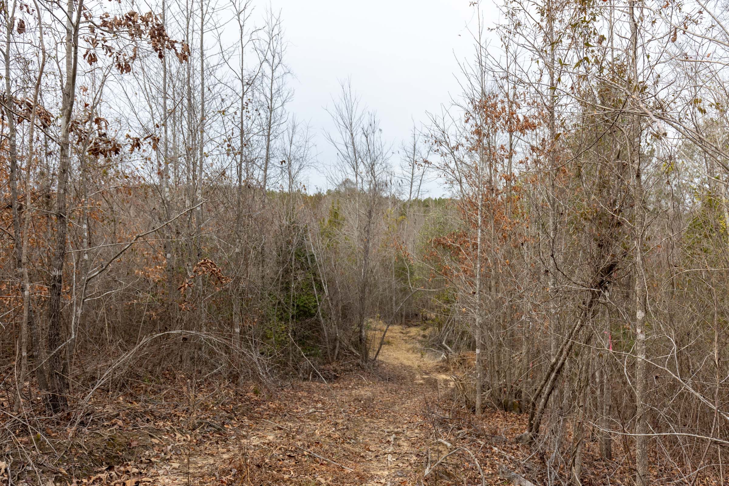 Baker Creek Tract 19 photo 7