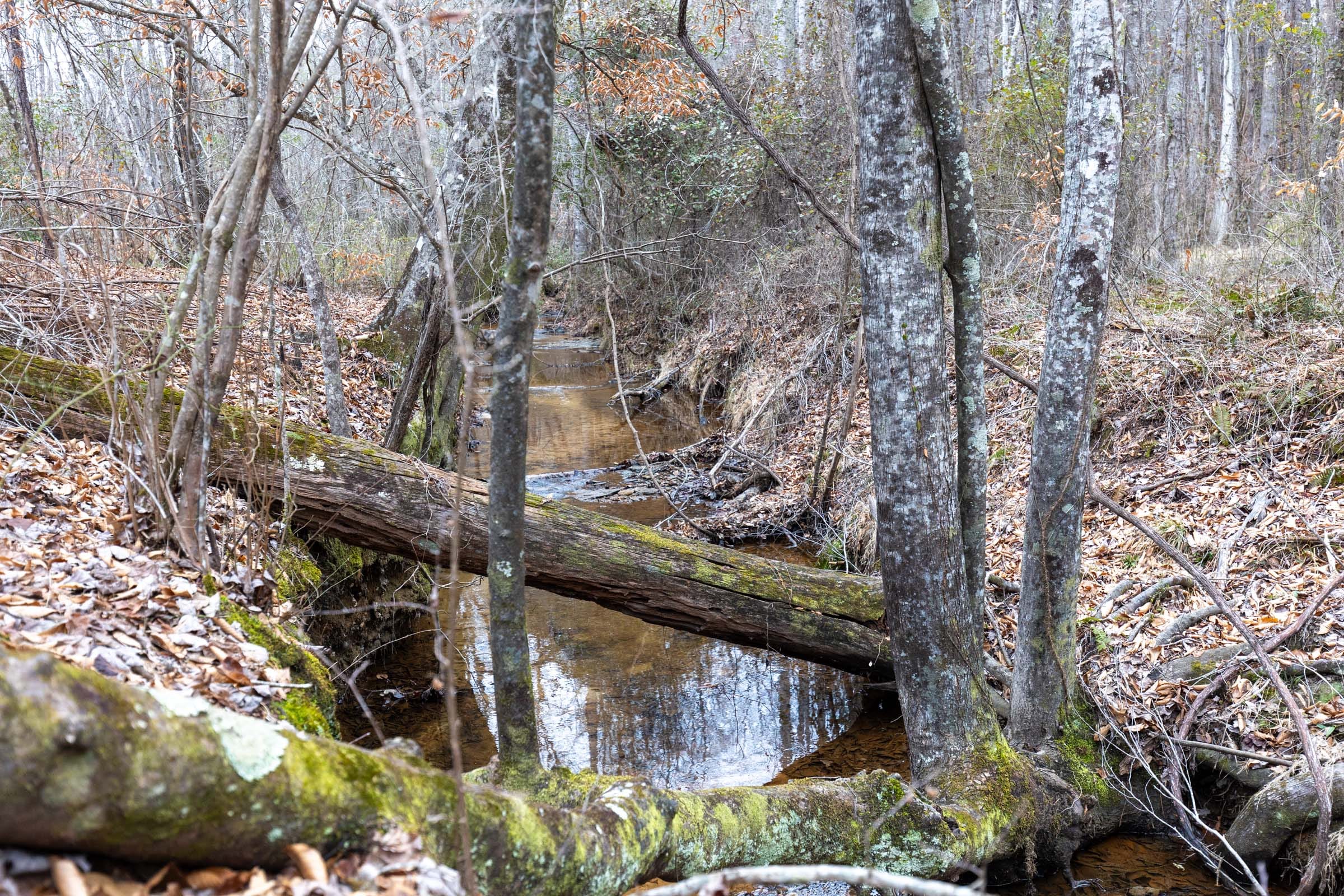 Baker Creek Tract 19 photo 6