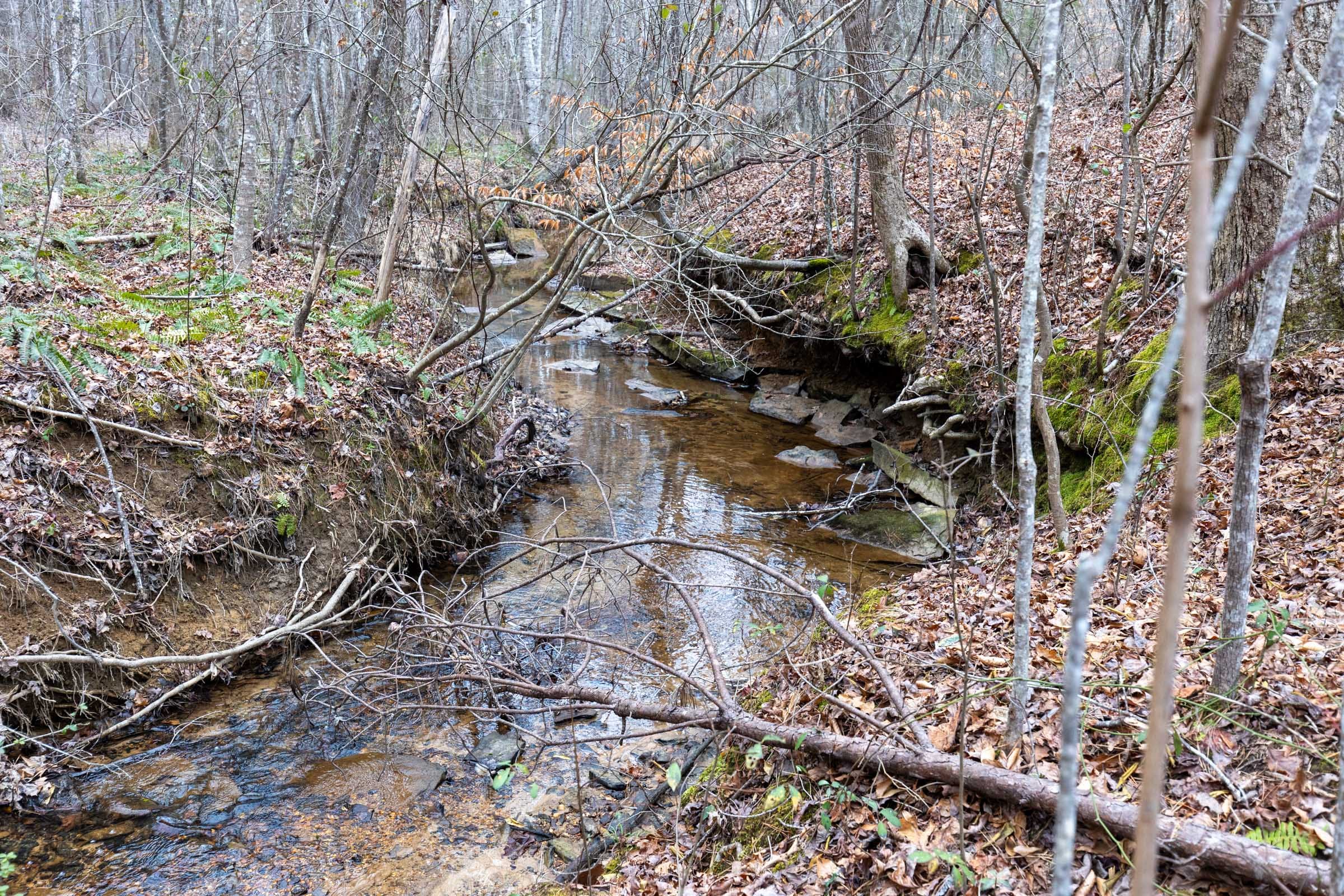 Baker Creek Tract 19 photo 2