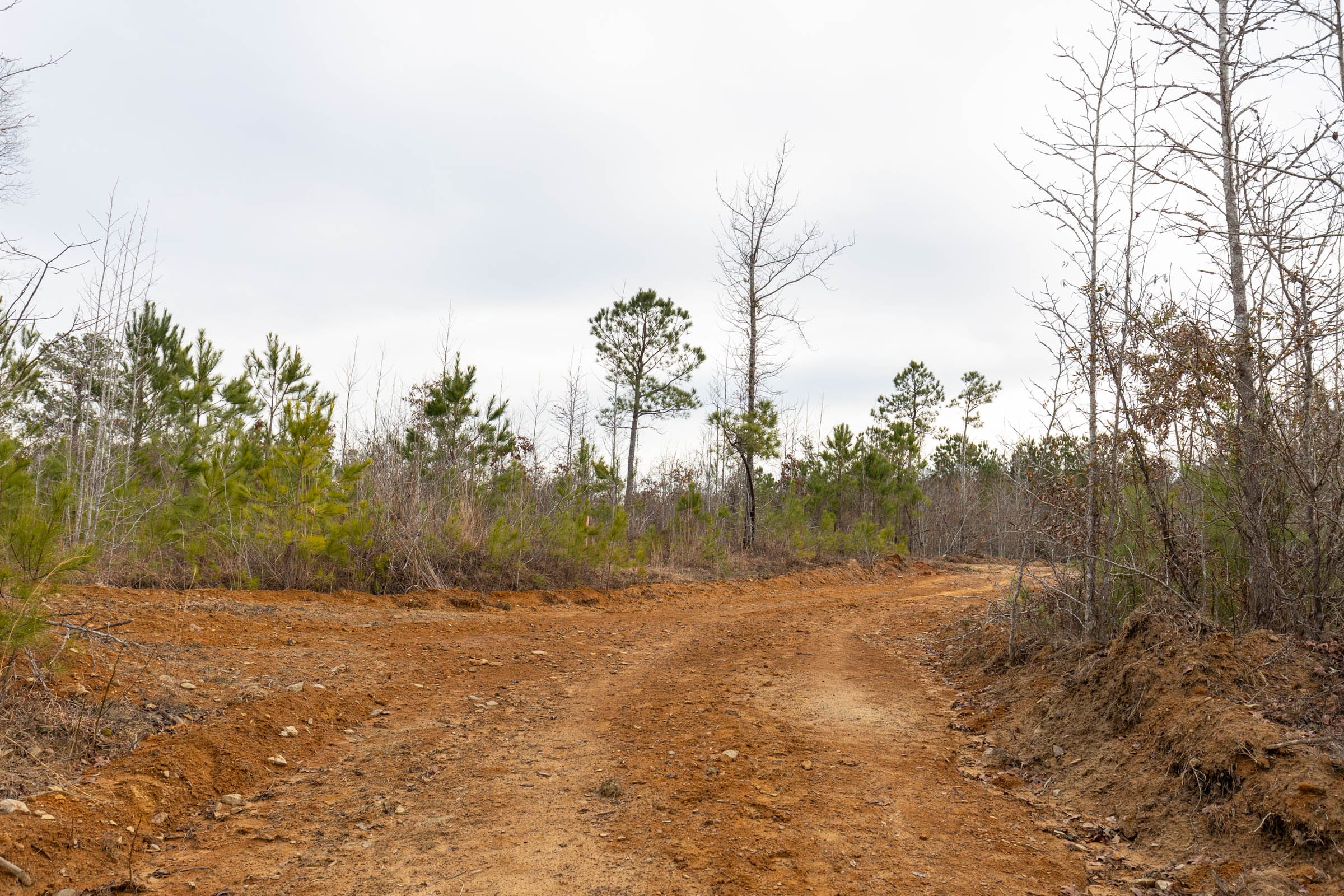 Baker Creek Tract 19 photo 1