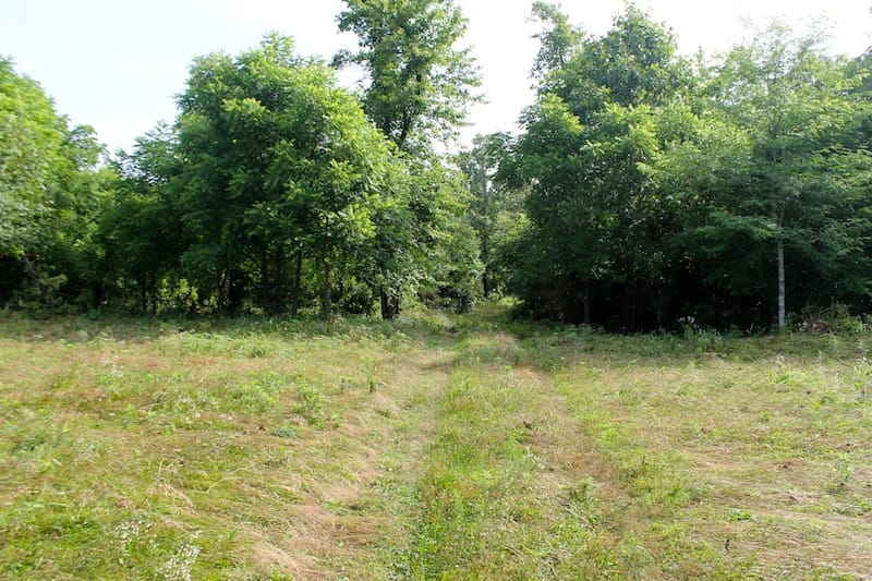 Green Mountain Ranch Tract 13 photo 1