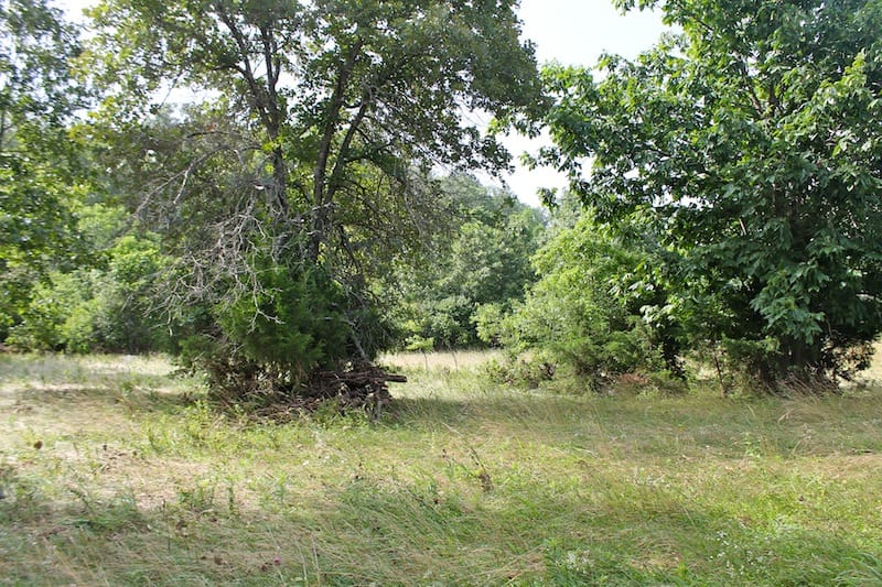 Green Mountain Ranch Tract 13 photo 2