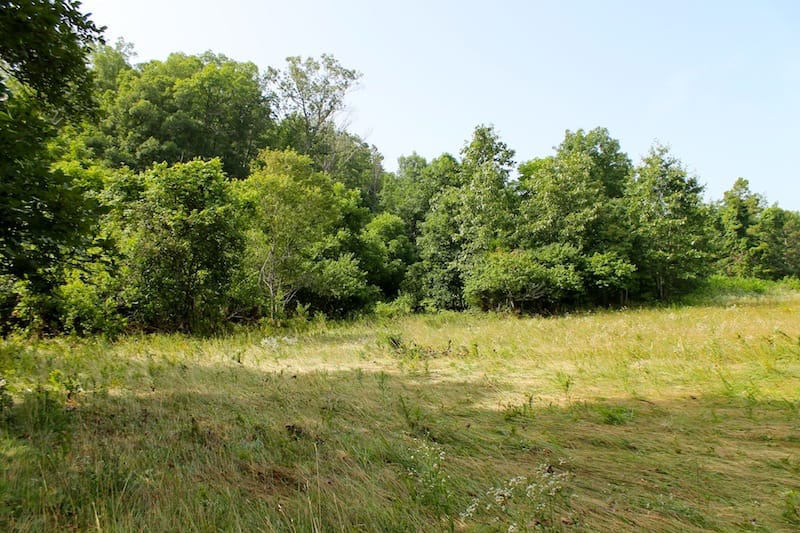 Green Mountain Ranch Tract 13 photo 3