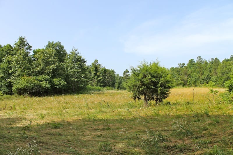Green Mountain Ranch Tract 13 photo 4