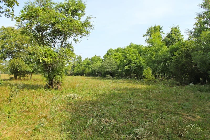 Green Mountain Ranch Tract 13 photo 5