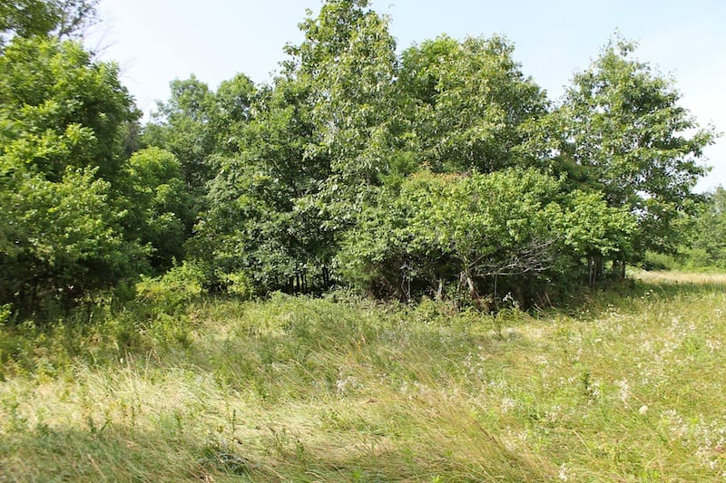 Green Mountain Ranch Tract 13 photo 6