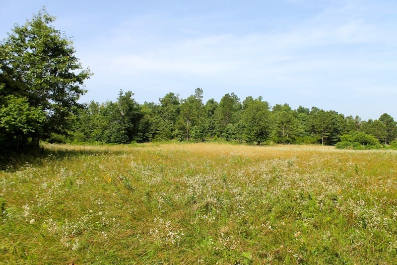 Green Mountain Ranch Tract 13 photo 7
