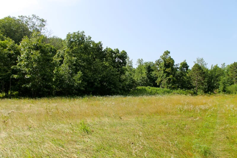 Green Mountain Ranch Tract 13 photo 8