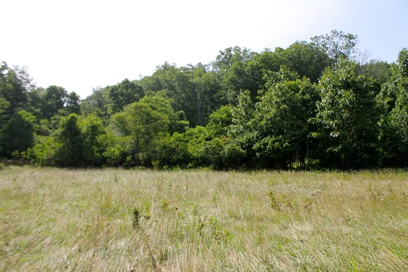 Green Mountain Ranch Tract 13 photo 9