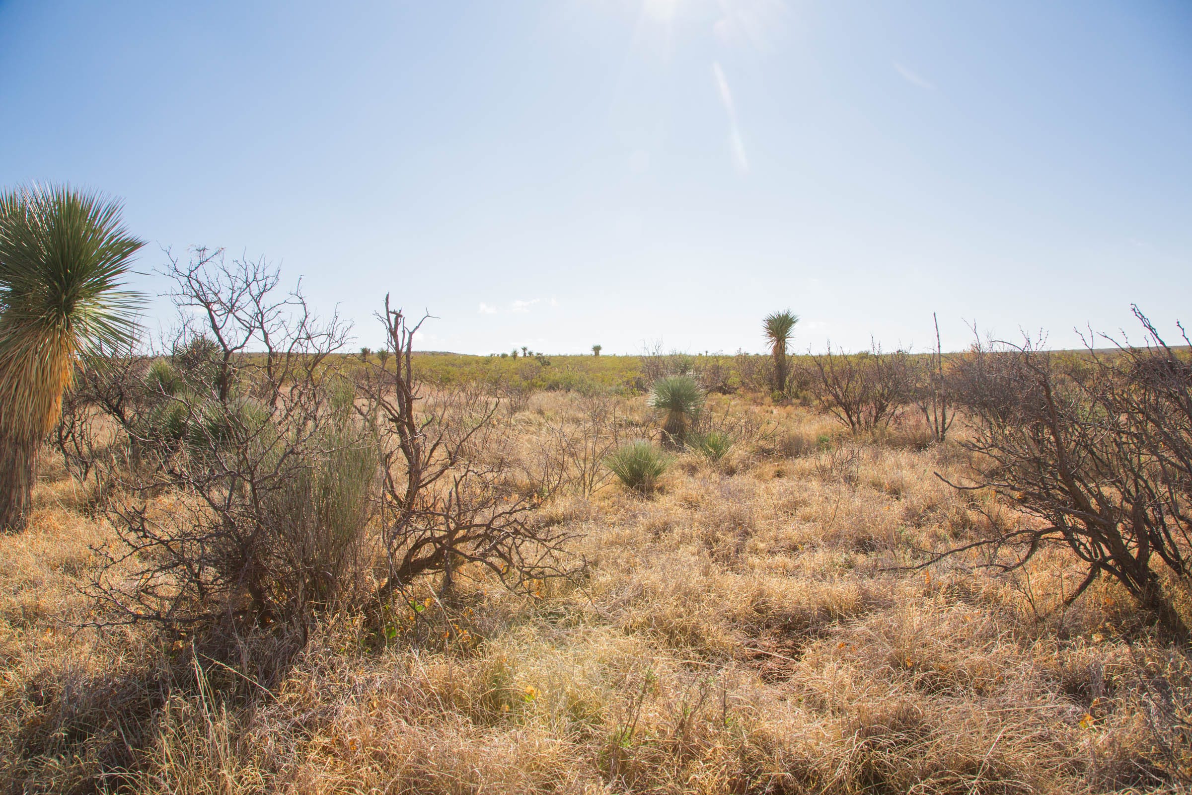 Sunset Ranches Tract 18 photo 5