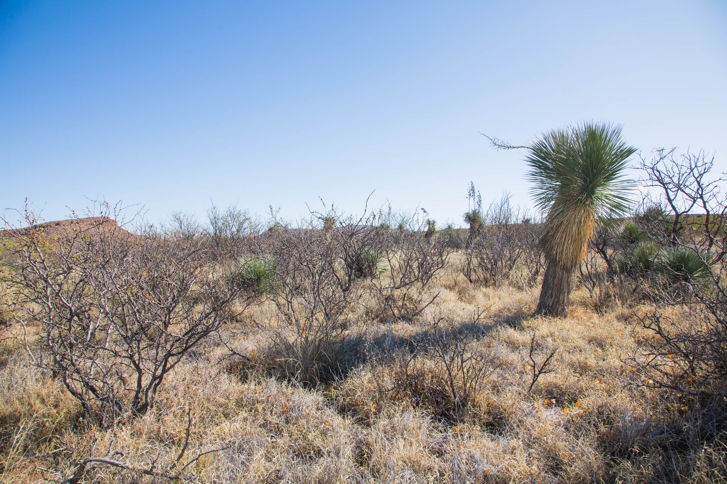 Sunset Ranches Tract 18 photo 6