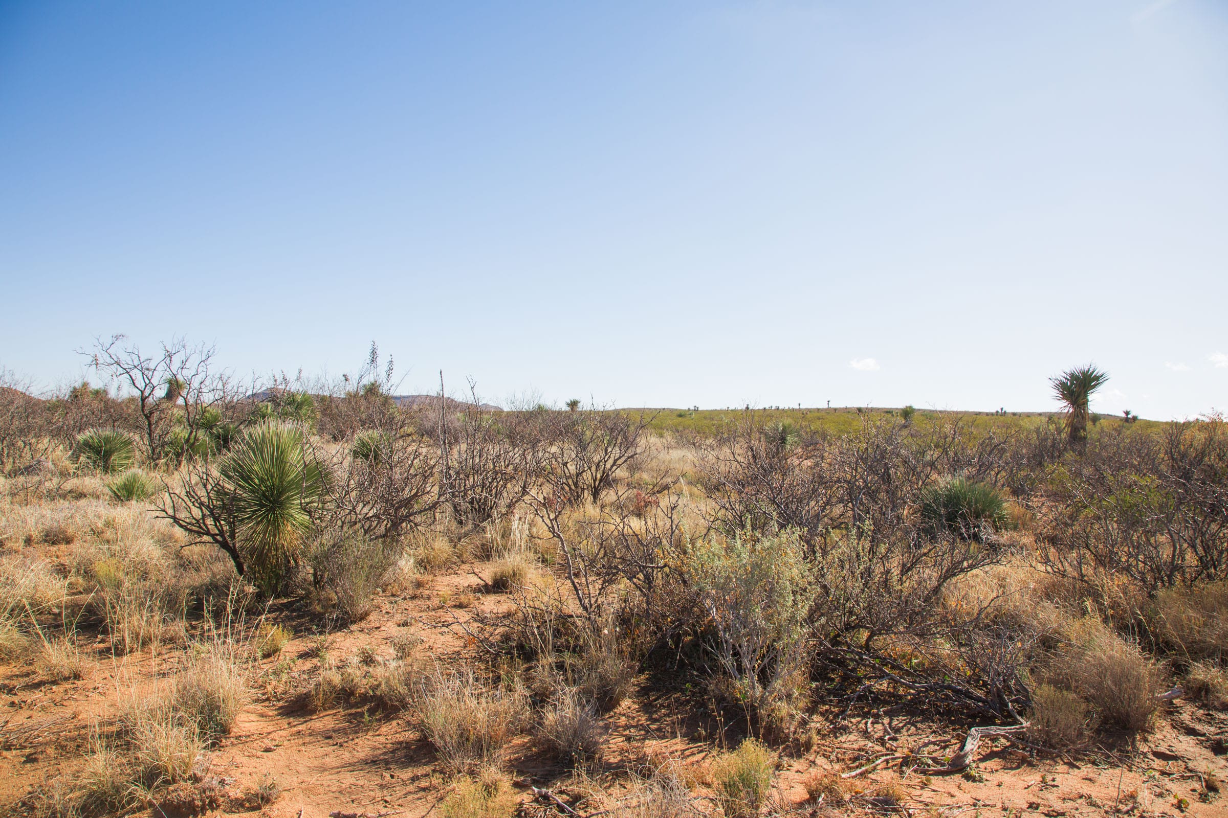 Sunset Ranches Tract 18 photo 8
