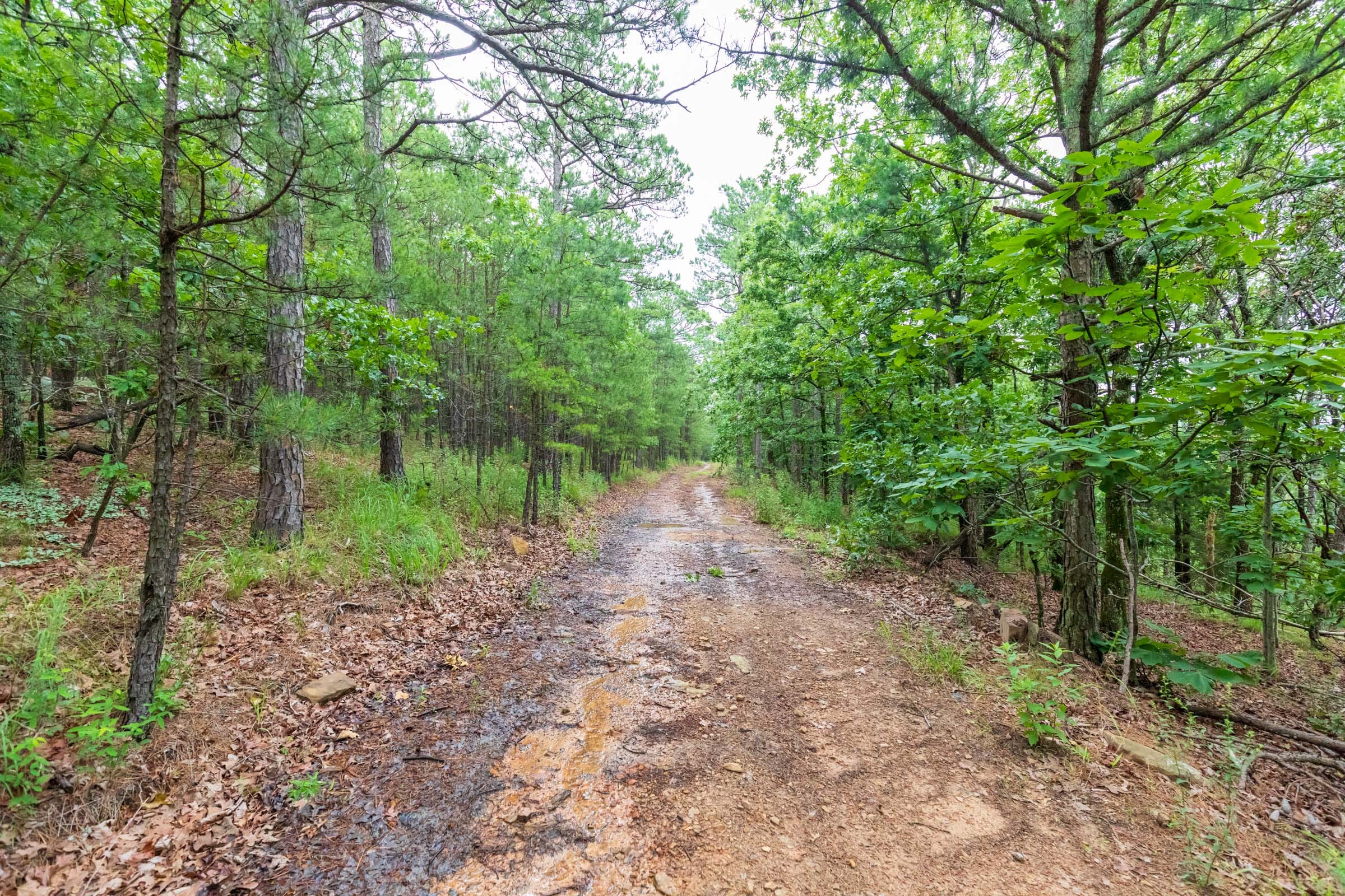 Stone Bridge Phase VI Tract 439 photo 6