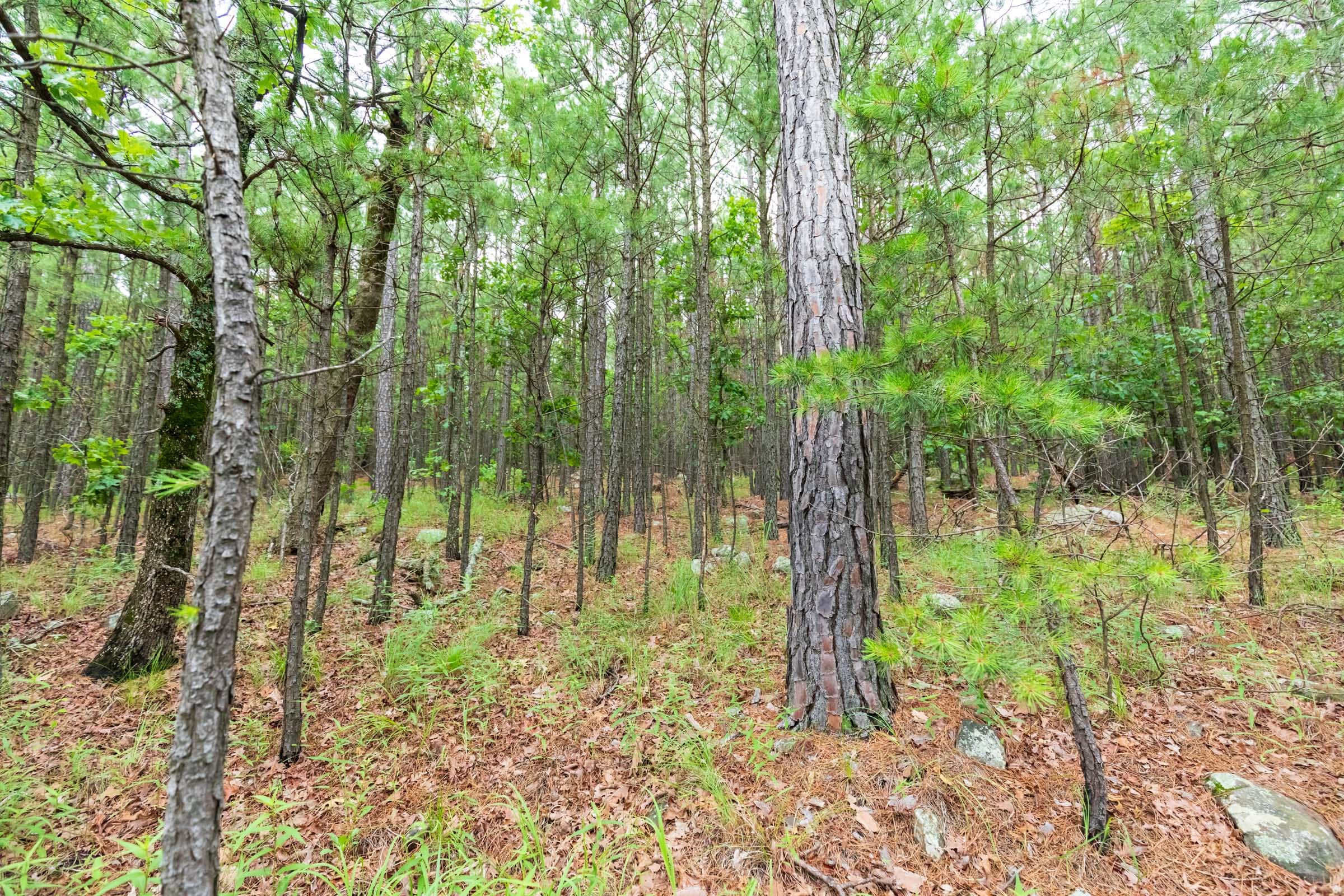 Stone Bridge Phase VI Tract 439 photo 9