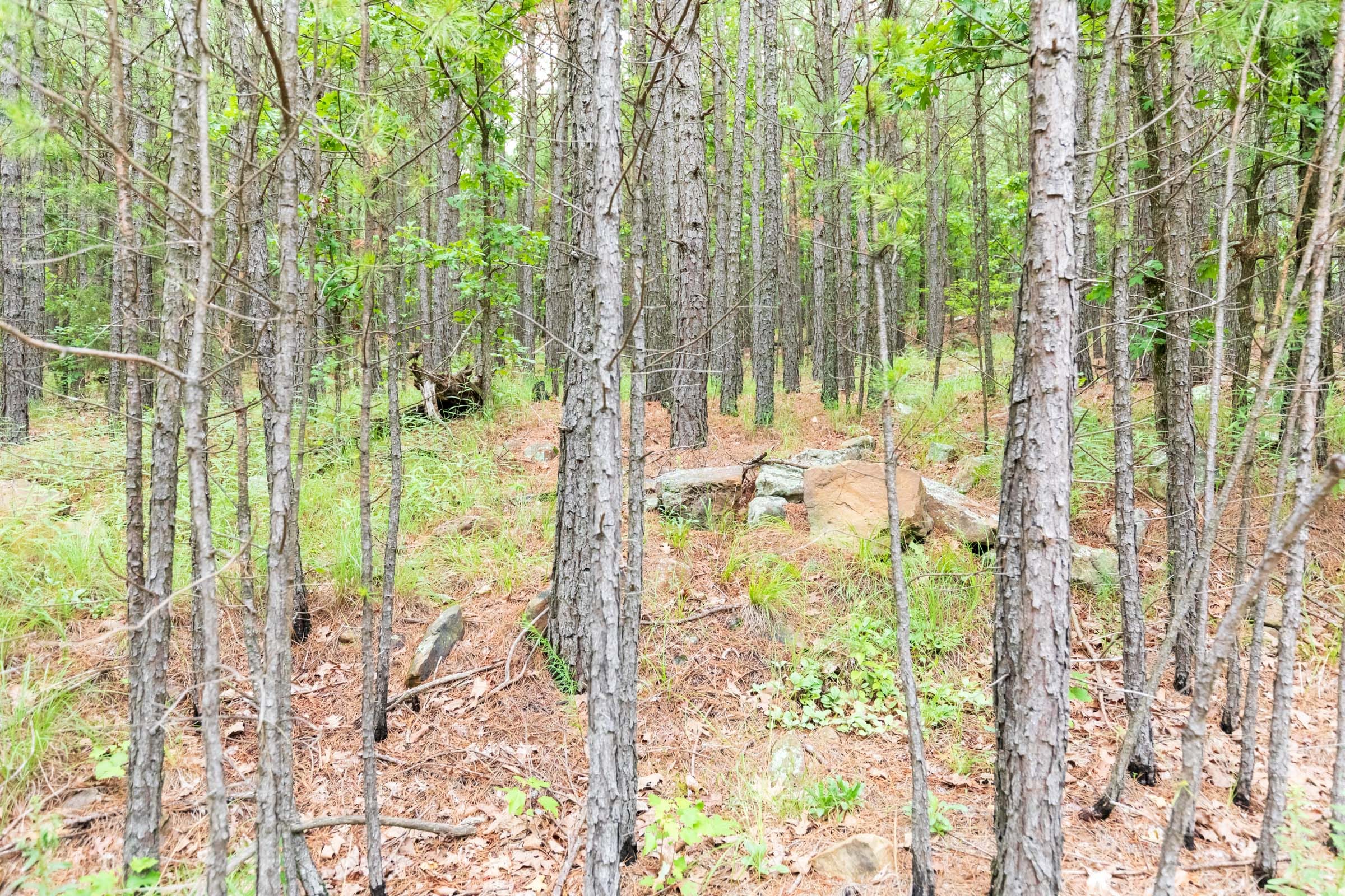 Stone Bridge Phase VI Tract 439 photo 4