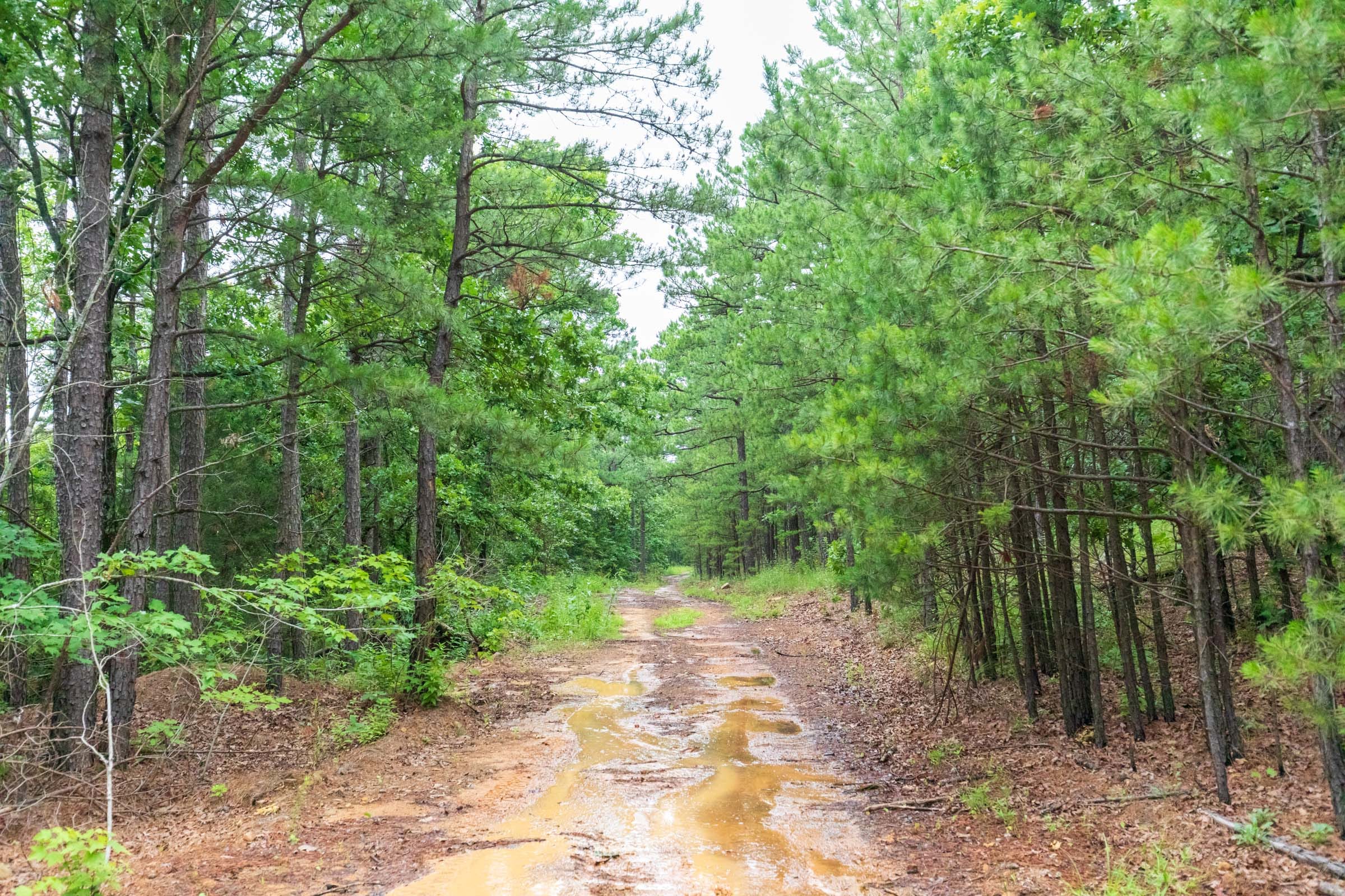Stone Bridge Phase VI Tract 439 photo 1