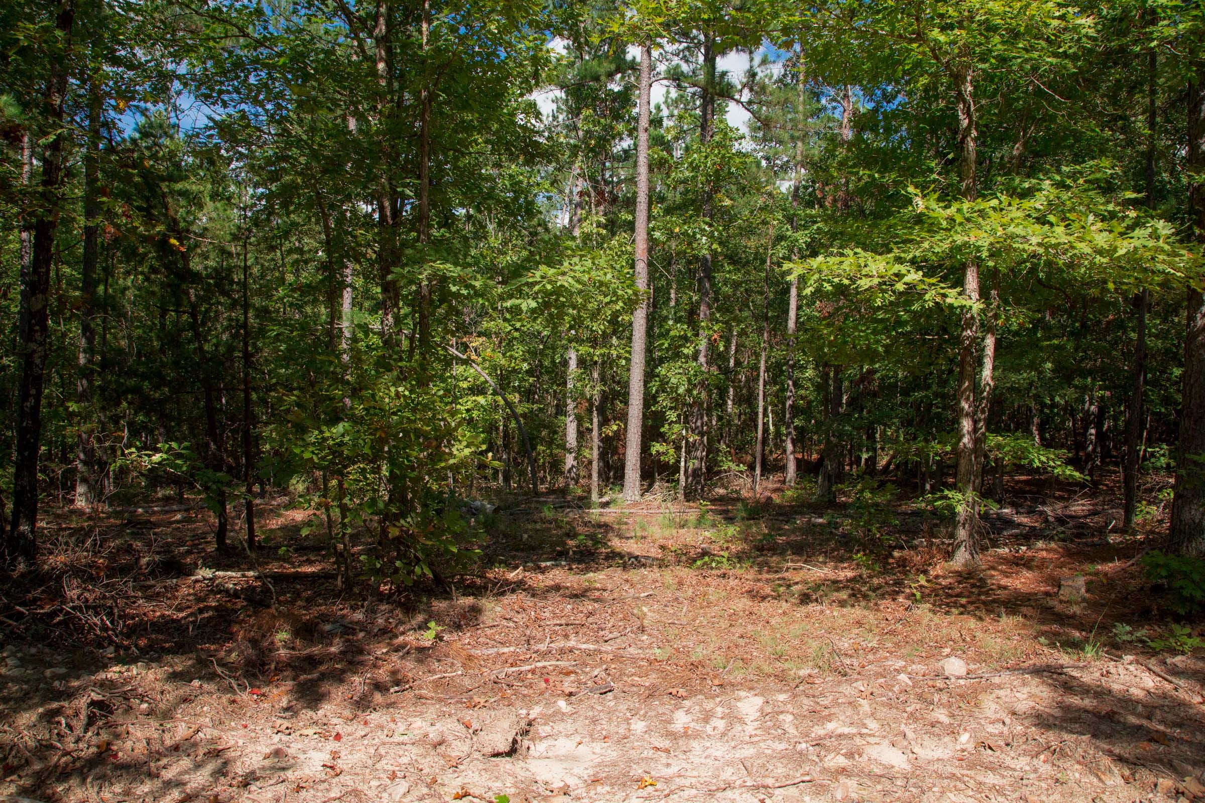 Wagon Wheel Ranch Tract 41 photo 2