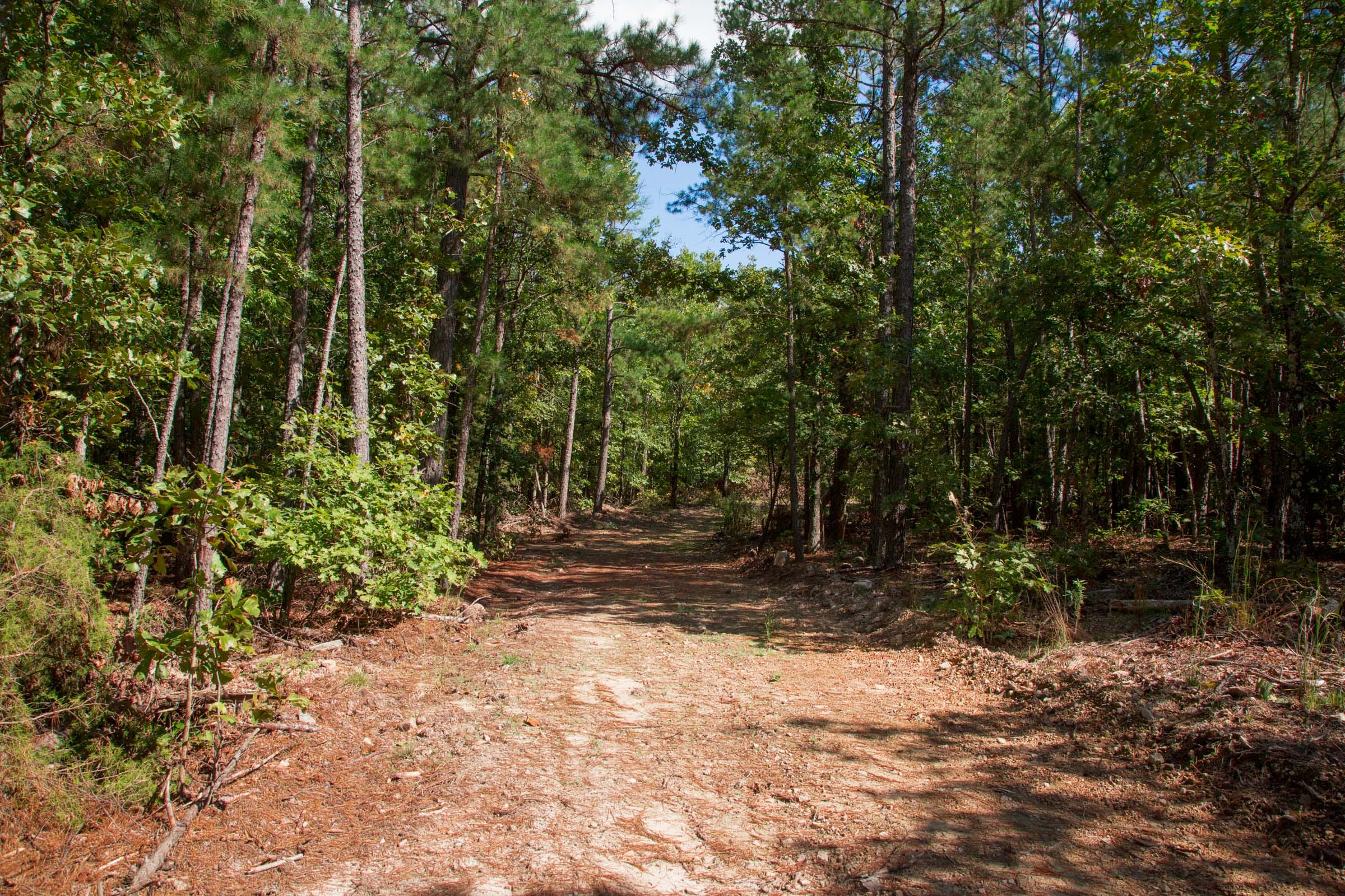 Wagon Wheel Ranch Tract 41 photo 4