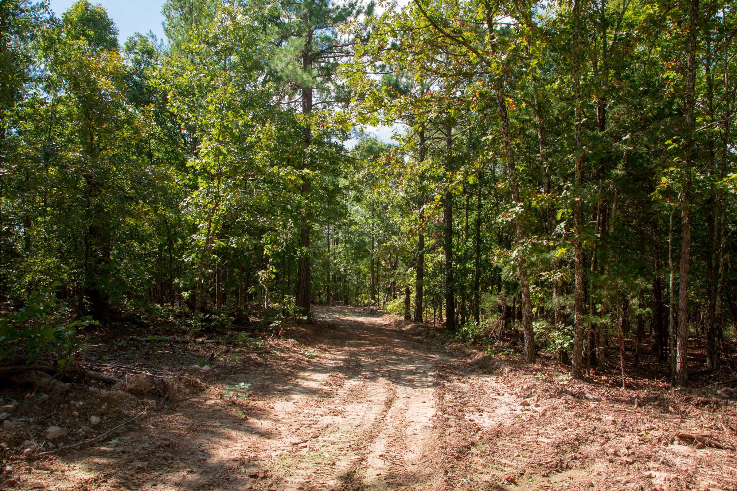 Wagon Wheel Ranch Tract 41 photo 5