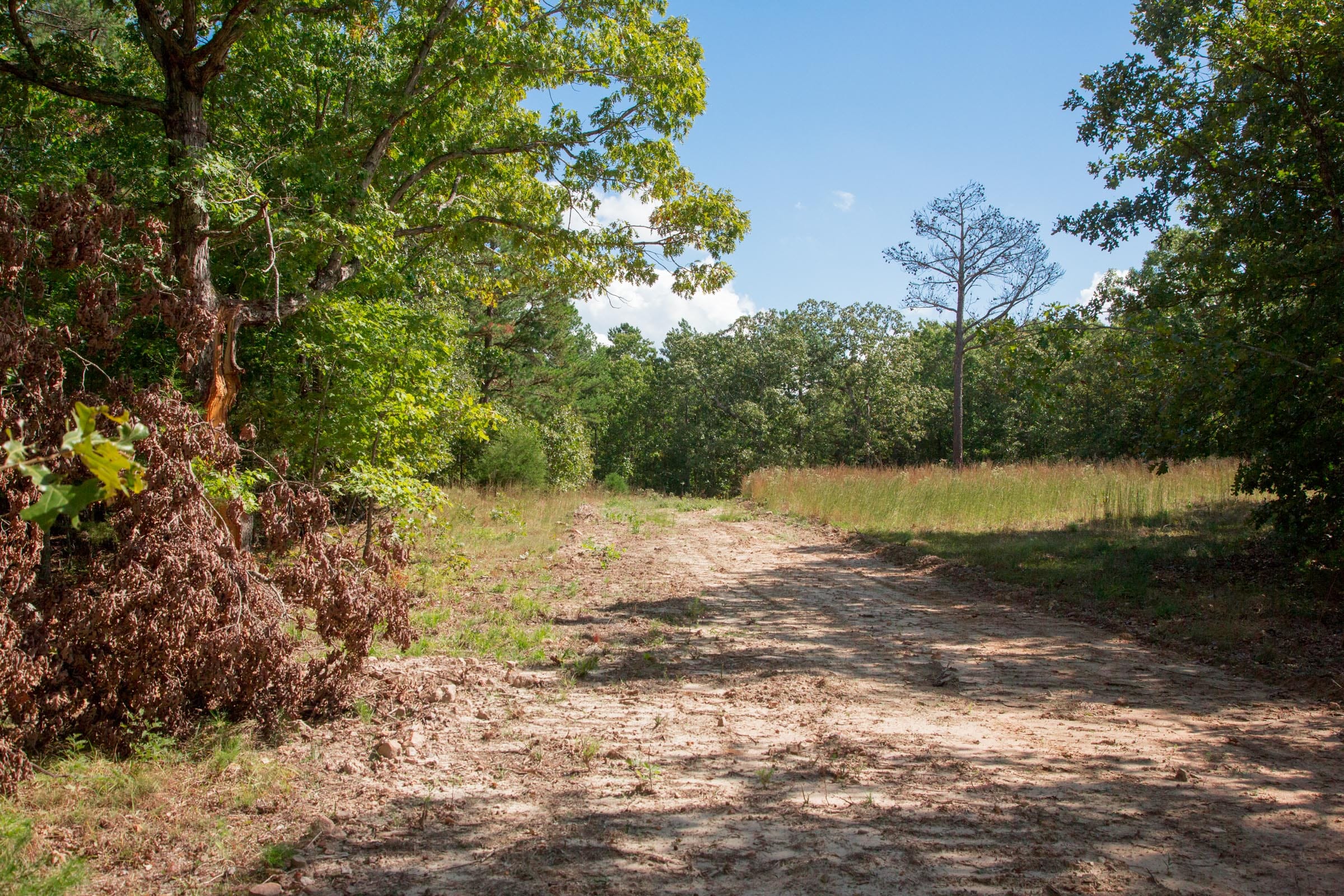 Wagon Wheel Ranch Tract 41 photo 9