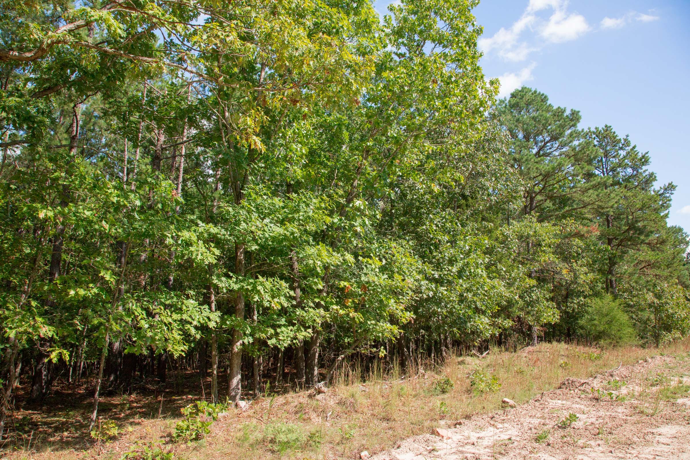 Wagon Wheel Ranch Tract 41 photo 11