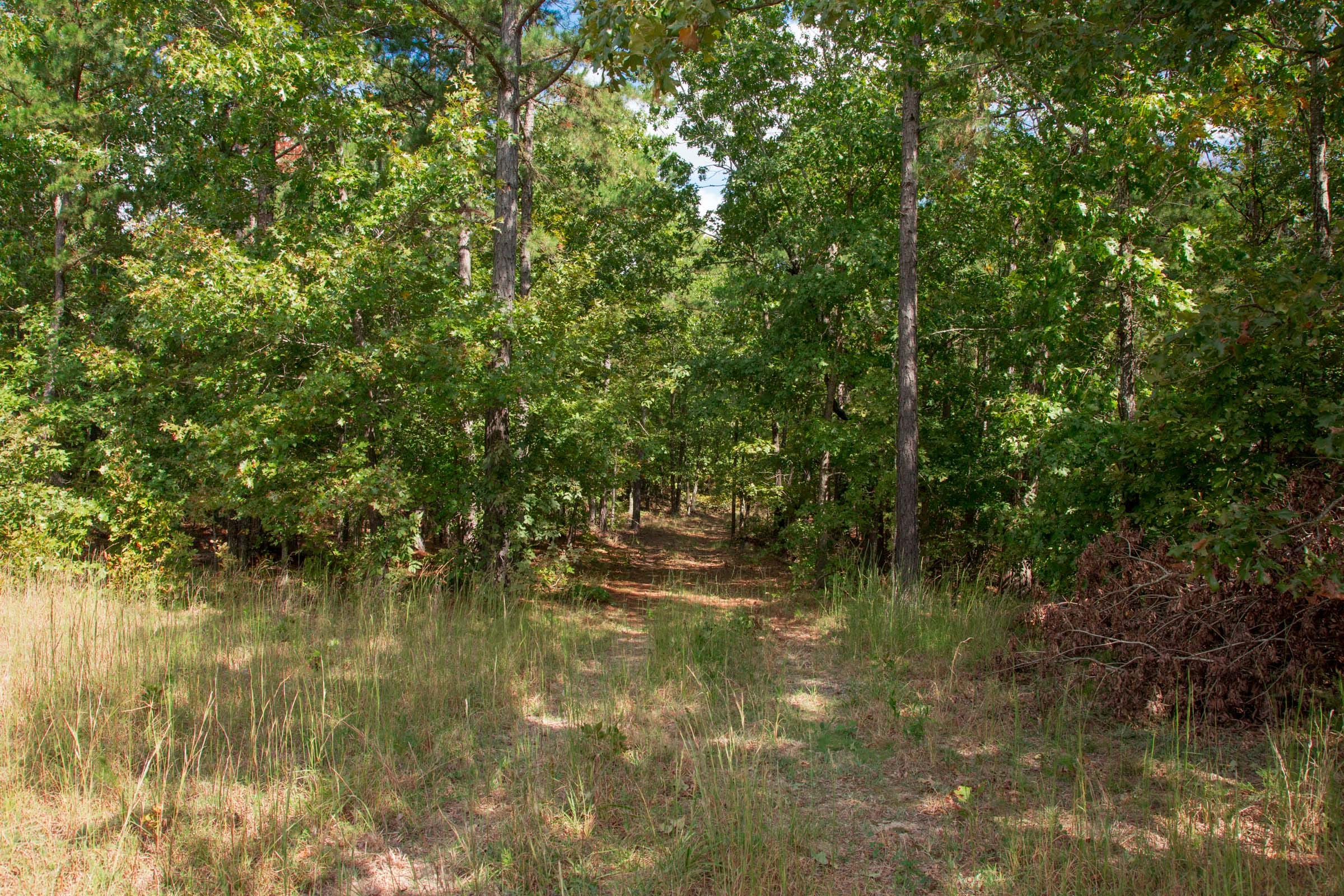 Wagon Wheel Ranch Tract 41 photo 12