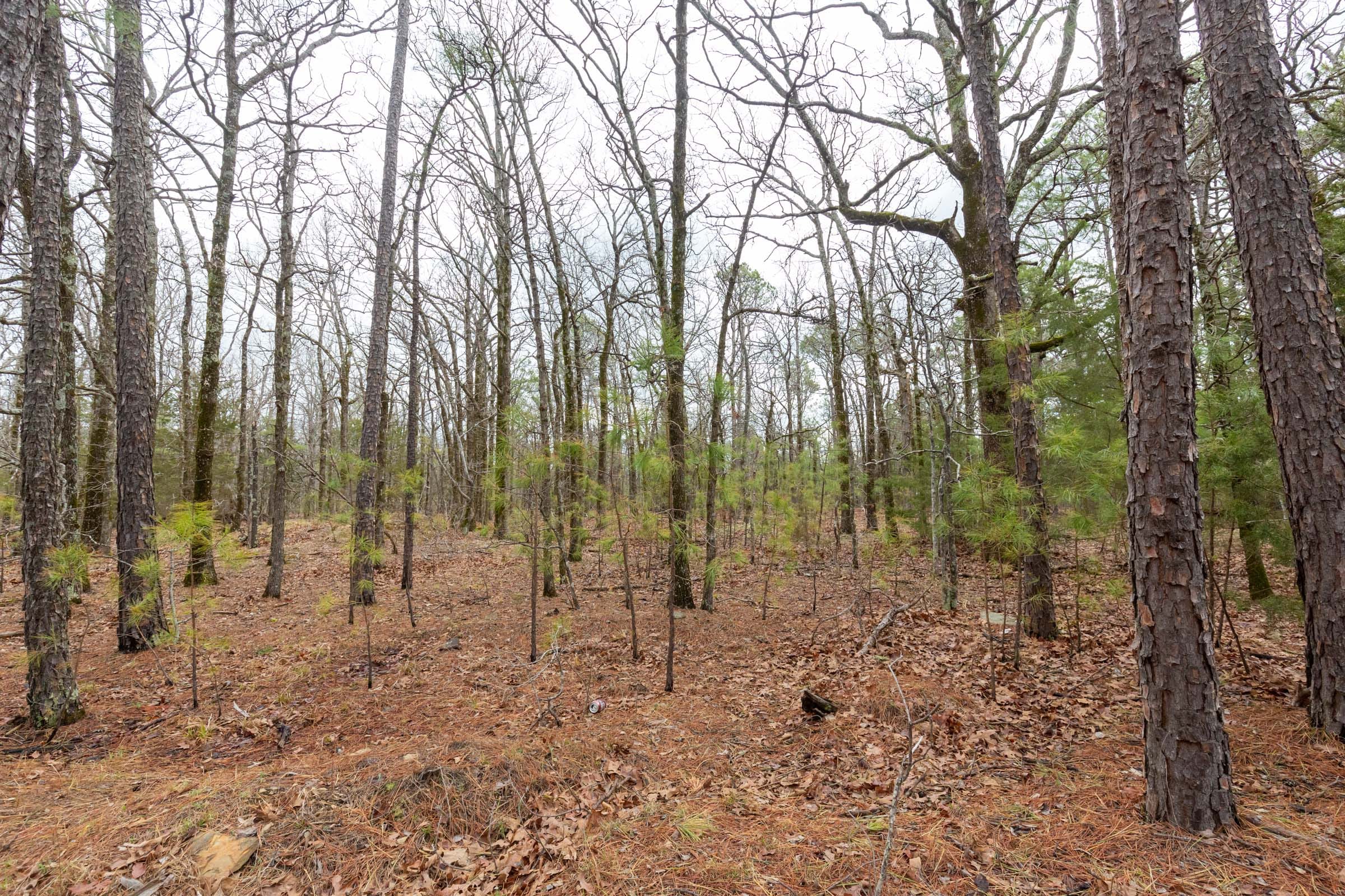 Stone Bridge Phase III Tract 187 photo 2