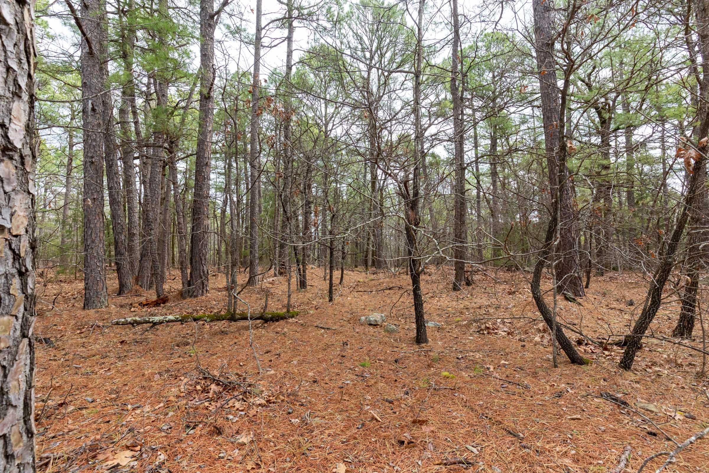 Stone Bridge Phase III Tract 187 photo 8
