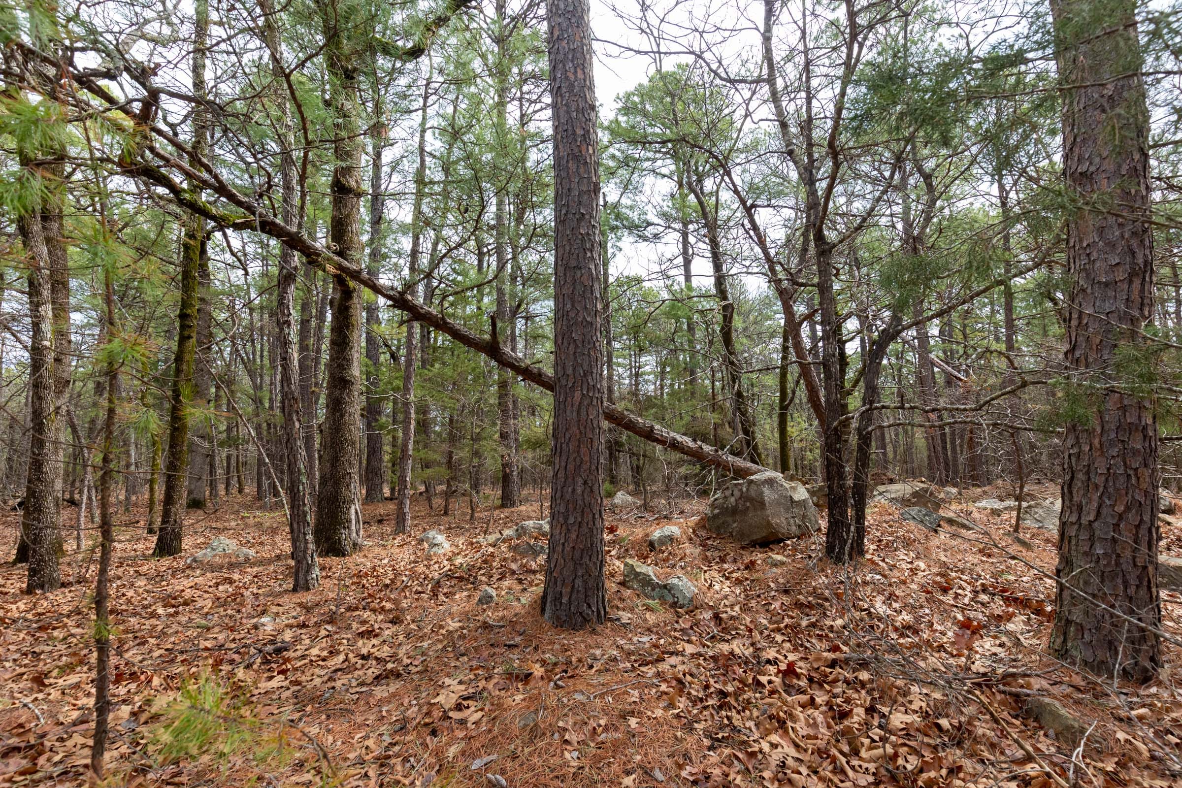 Stone Bridge Phase III Tract 187 photo 9