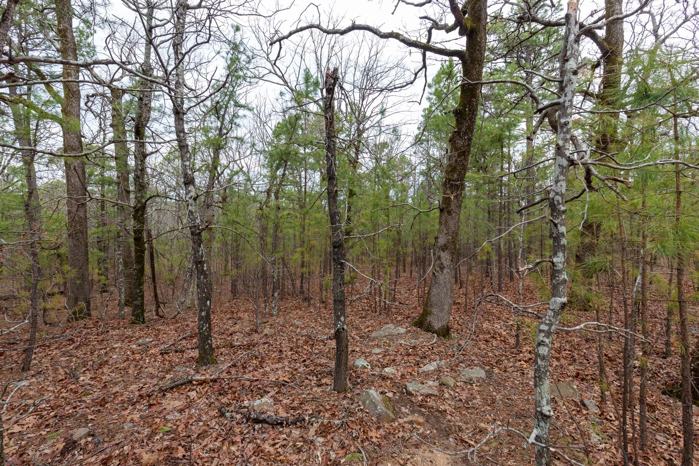 Stone Bridge Phase III Tract 187 photo 10