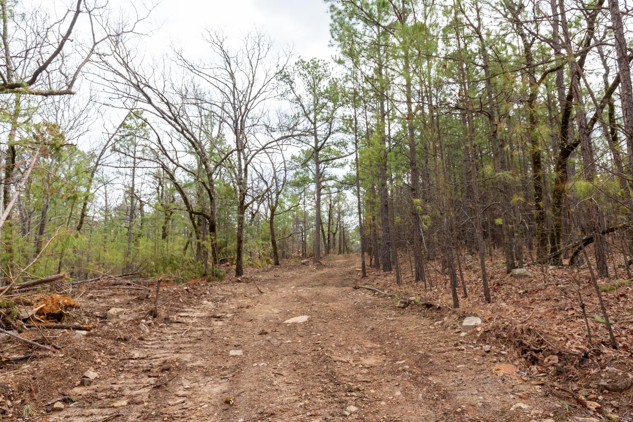 Stone Bridge Phase III Tract 187 photo 1
