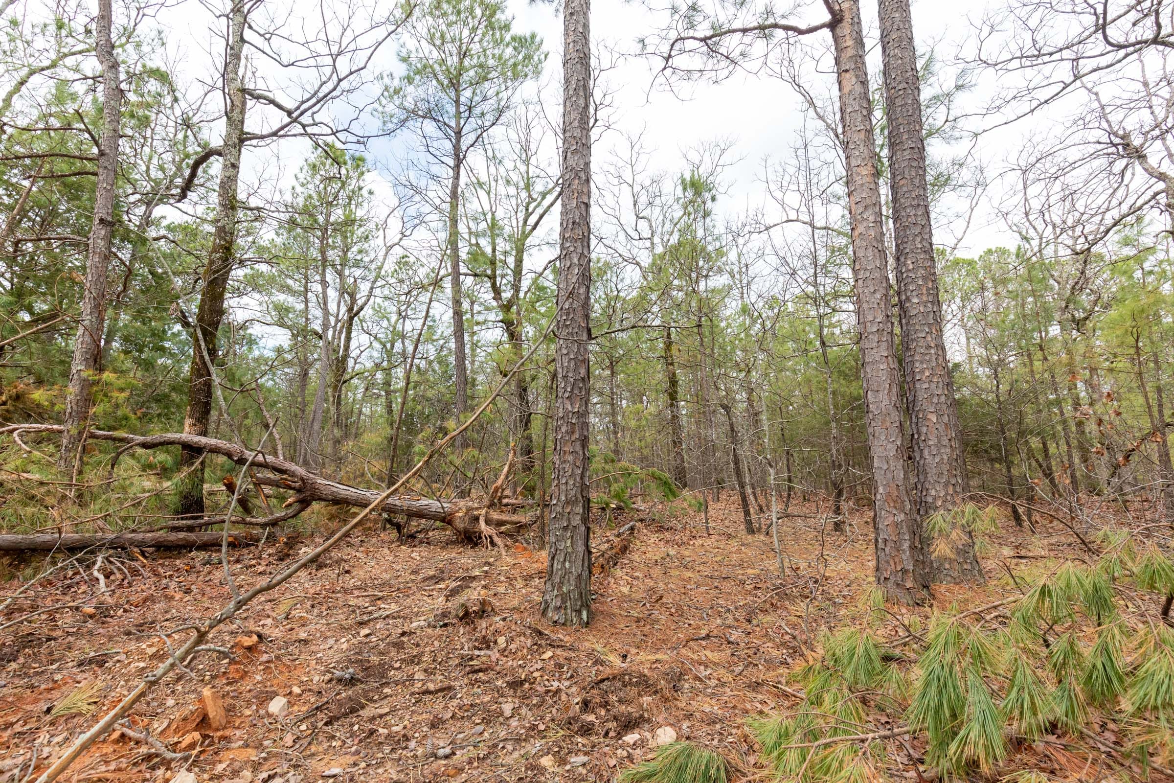 Stone Bridge Phase III Tract 187 photo 11