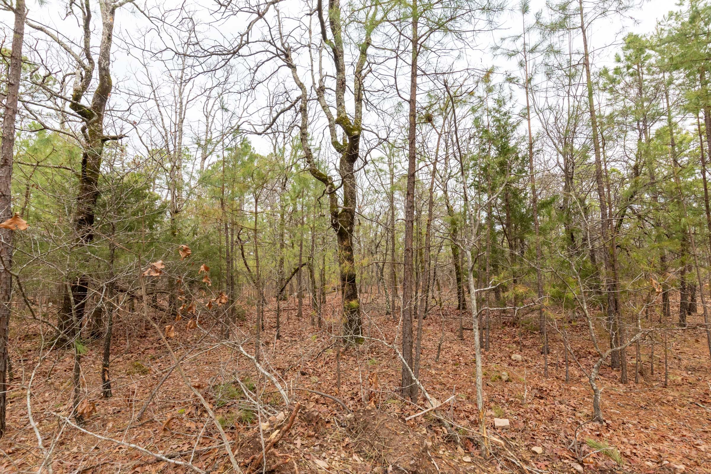 Stone Bridge Phase III Tract 187 photo 12