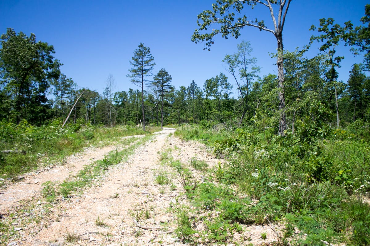 Timber Crossing Tract 21 photo 2