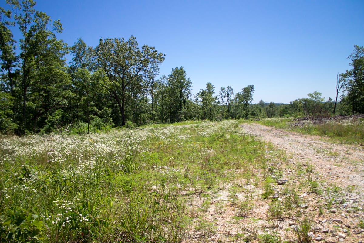 Timber Crossing Tract 21 photo 3