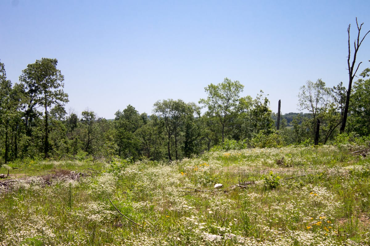 Timber Crossing Tract 21 photo 9